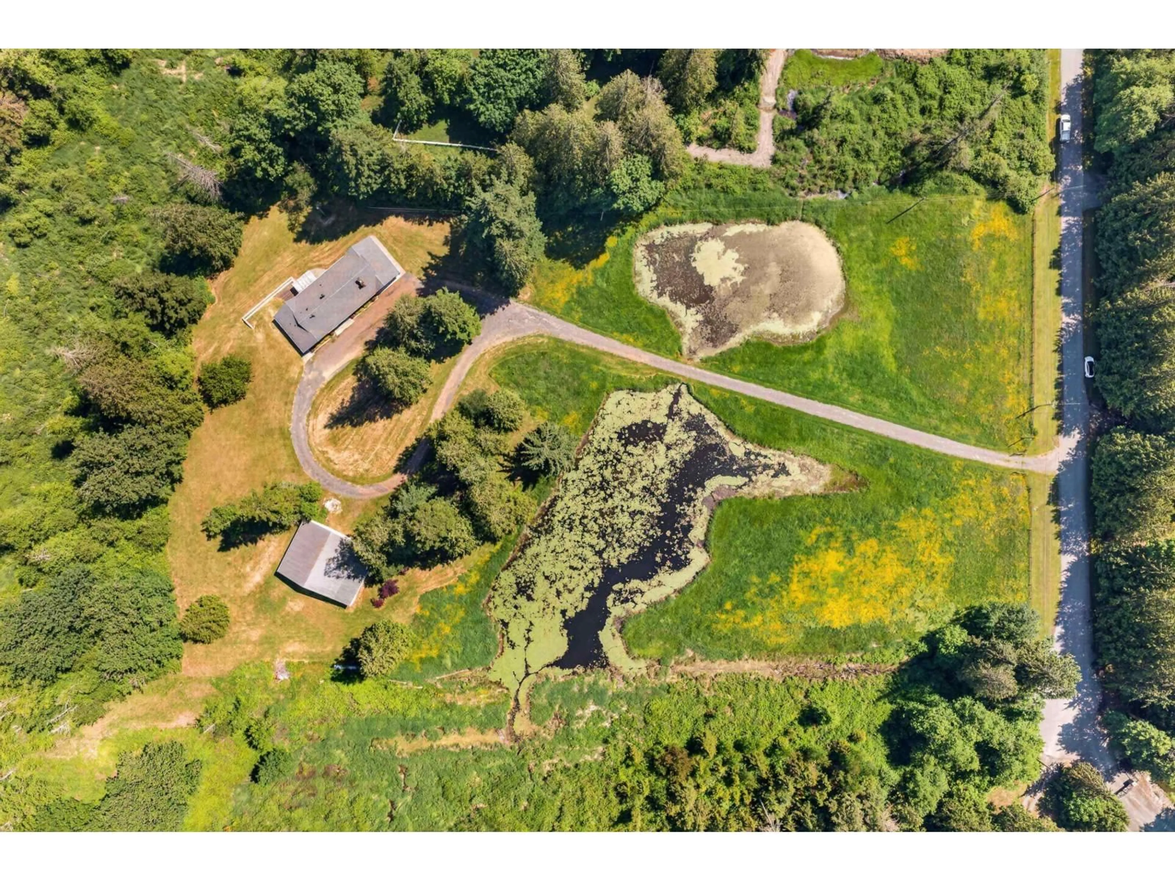 A pic from outside/outdoor area/front of a property/back of a property/a pic from drone, forest/trees view for 22065 102 AVENUE, Langley British Columbia V1M3V3