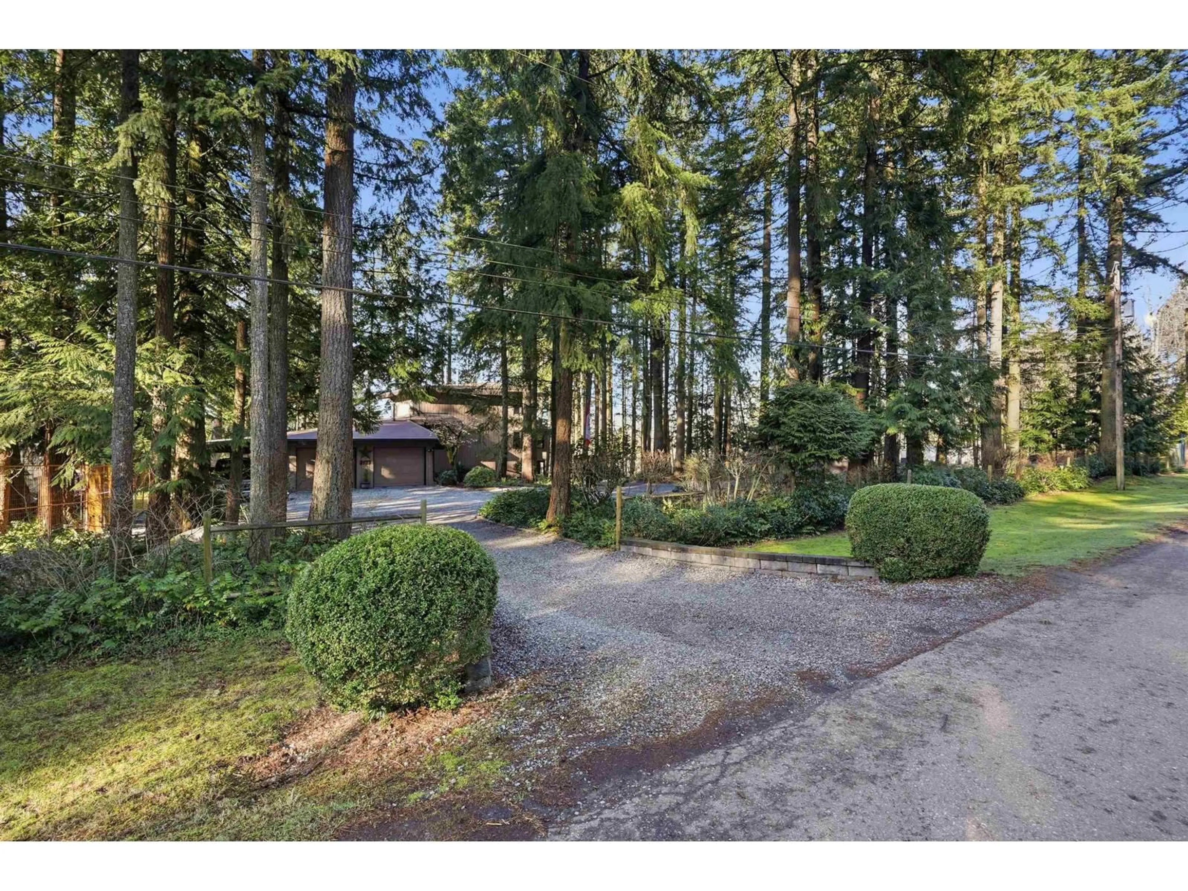 A pic from outside/outdoor area/front of a property/back of a property/a pic from drone, forest/trees view for 3177 207A STREET, Langley British Columbia V2Z2C5