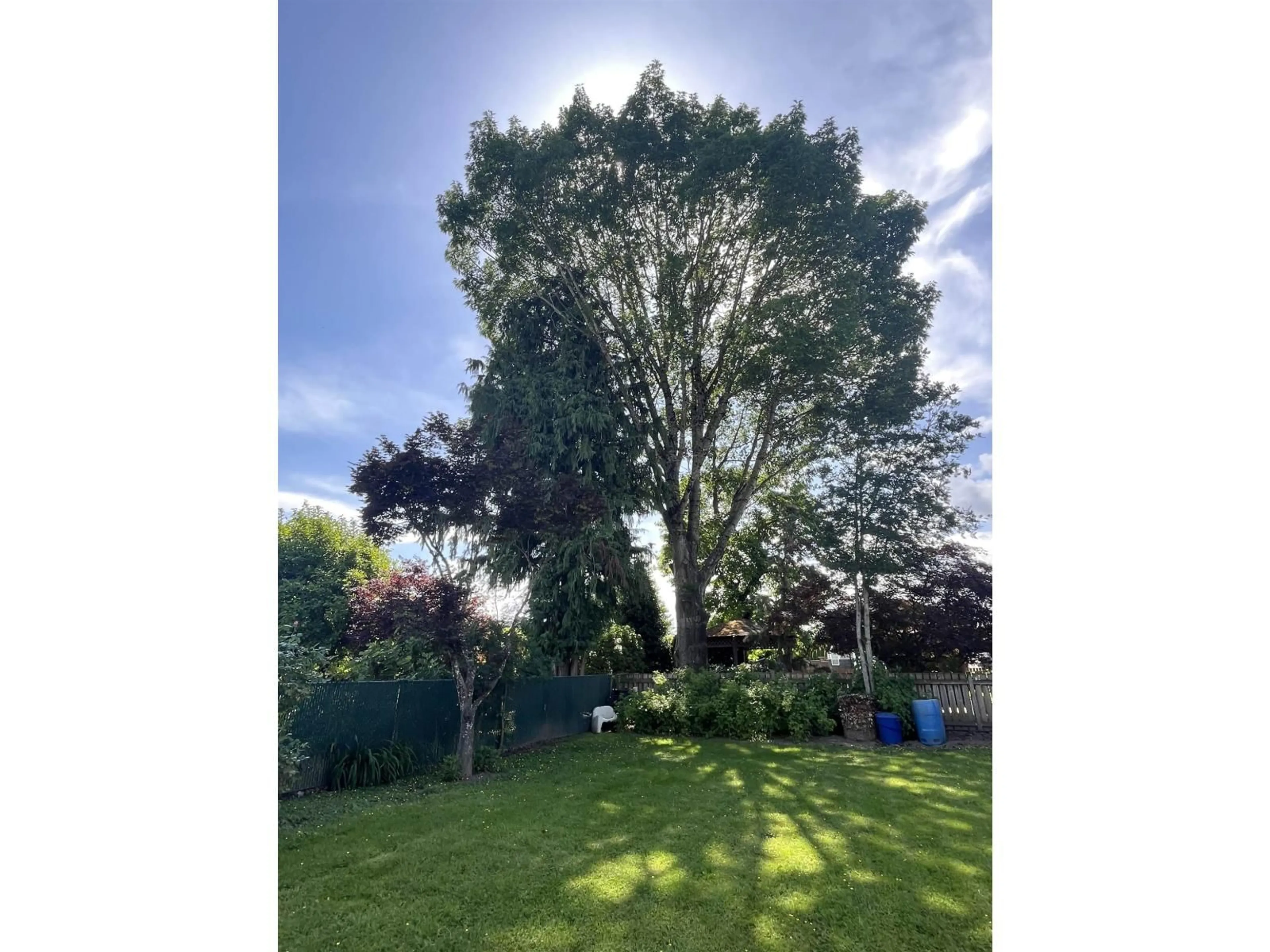 A pic from outside/outdoor area/front of a property/back of a property/a pic from drone, forest/trees view for 45946 SILVER AVENUE, Chilliwack British Columbia V2R1Z2