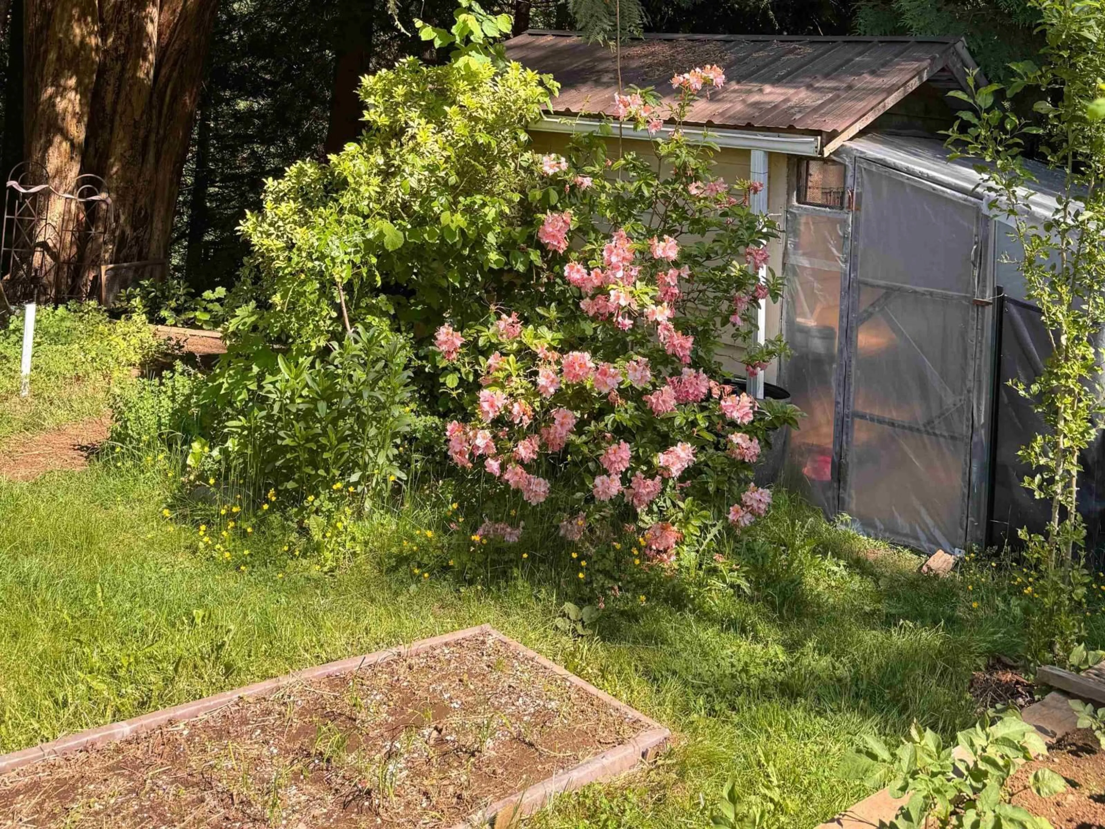 Shed for 4144 BELANGER DRIVE, Abbotsford British Columbia V3G1K3