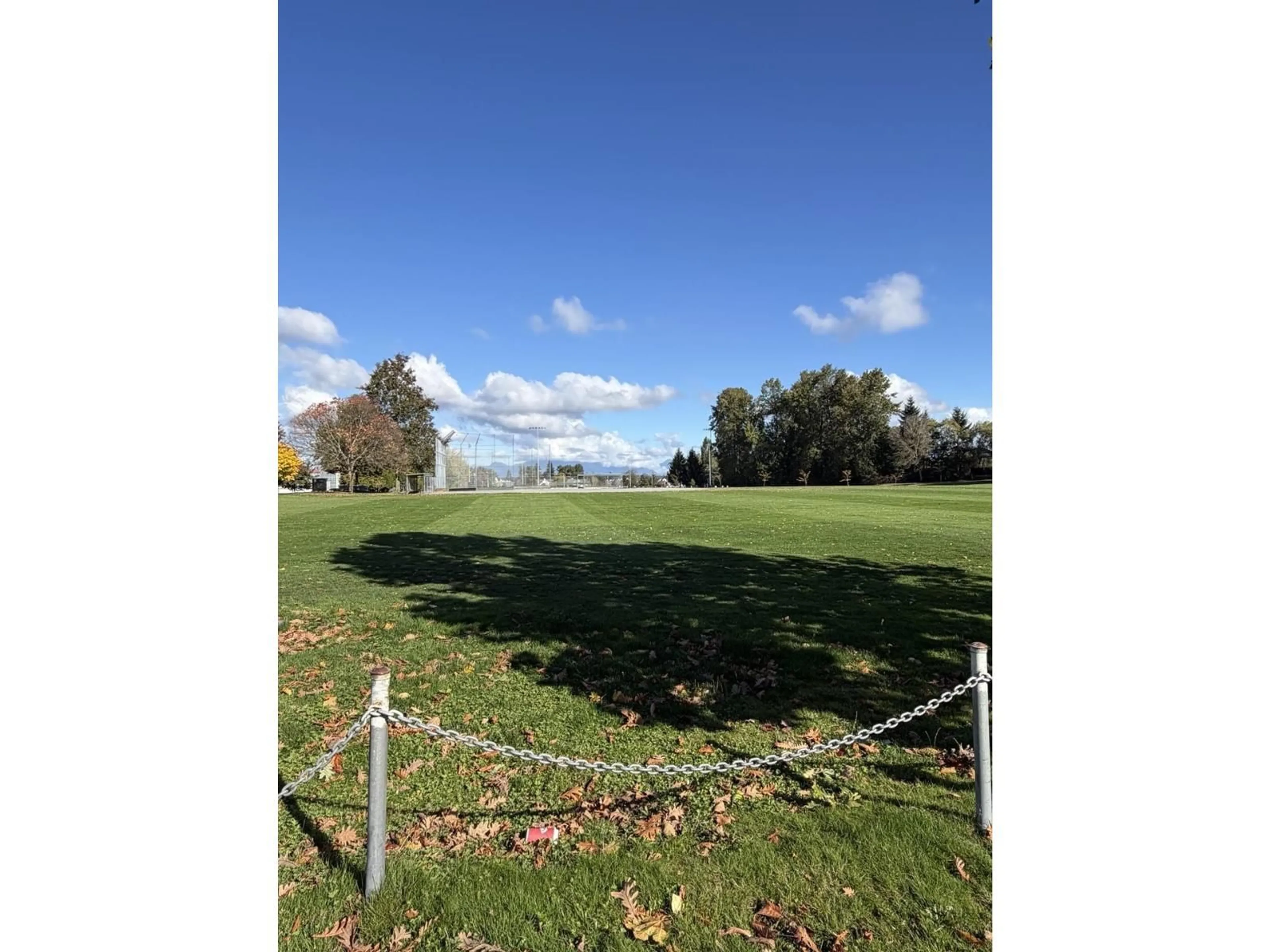 A pic from outside/outdoor area/front of a property/back of a property/a pic from drone, mountain view for A - 17020 62 AVENUE, Surrey British Columbia V3S1W6