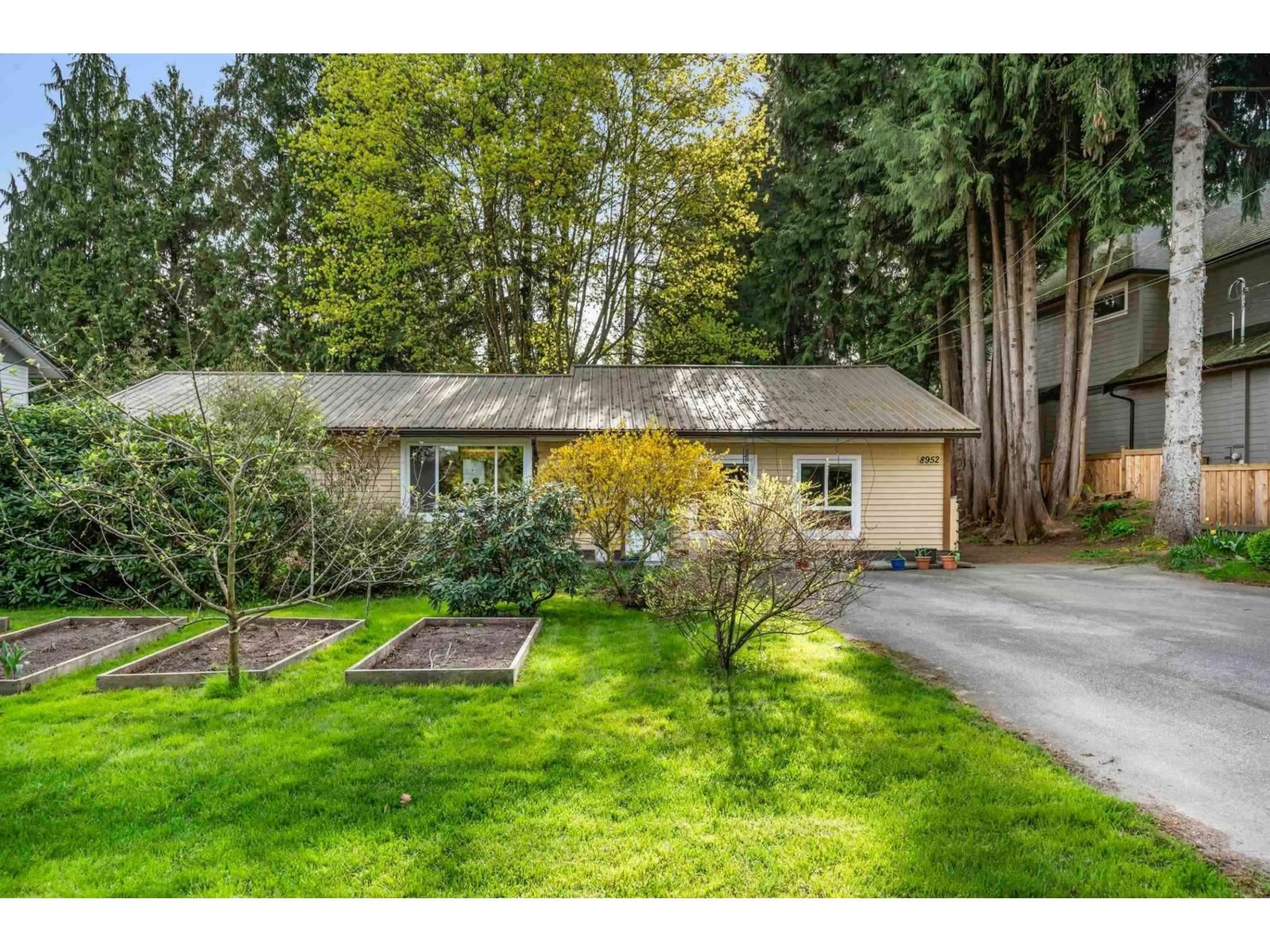 A pic from outside/outdoor area/front of a property/back of a property/a pic from drone, forest/trees view for 8952 WRIGHT STREET, Langley British Columbia V1M3T2