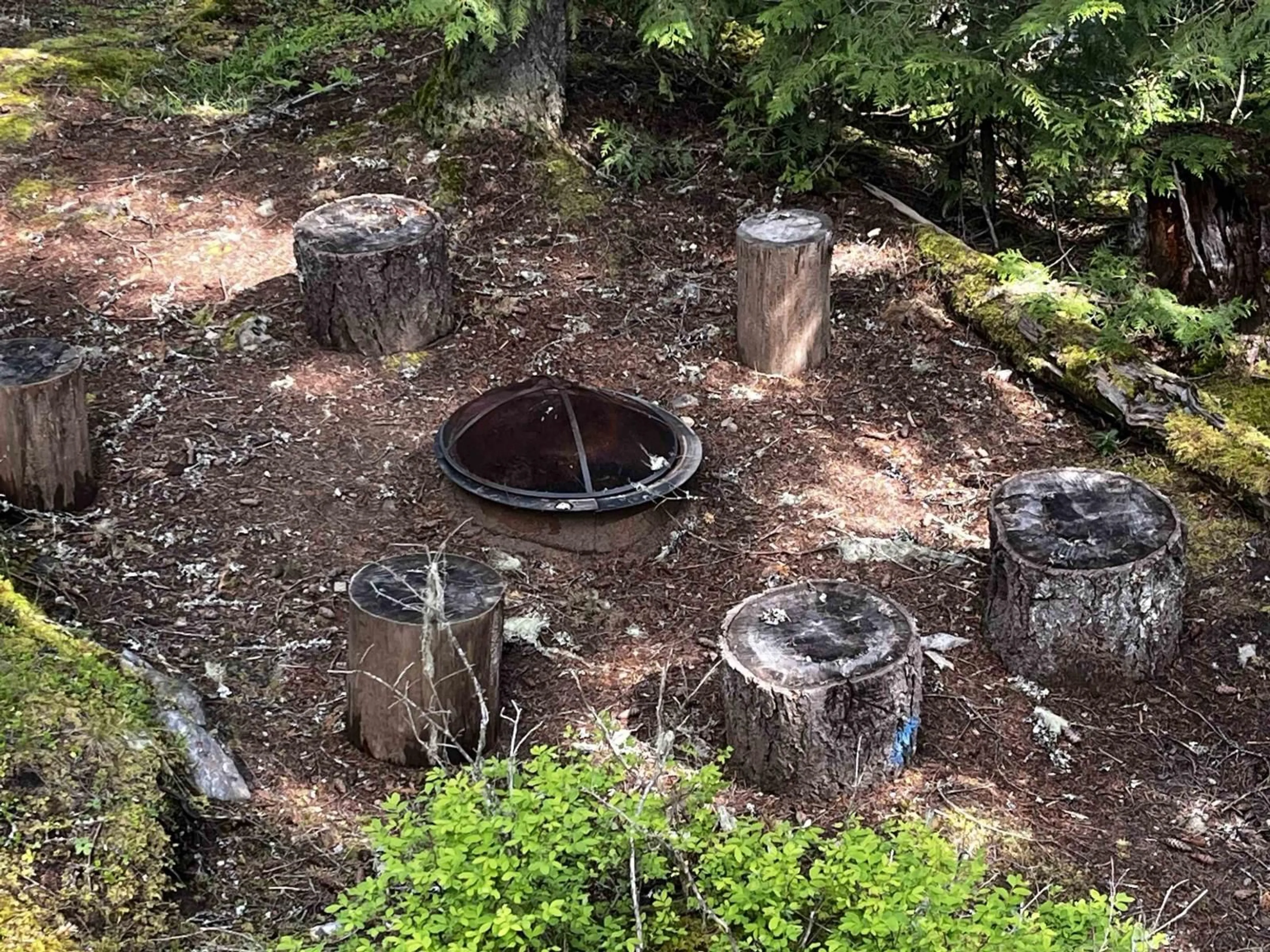 A pic from outside/outdoor area/front of a property/back of a property/a pic from drone, forest/trees view for 14964 PARKHILL BOULEVARD, Sunshine Valley British Columbia V0X1L5