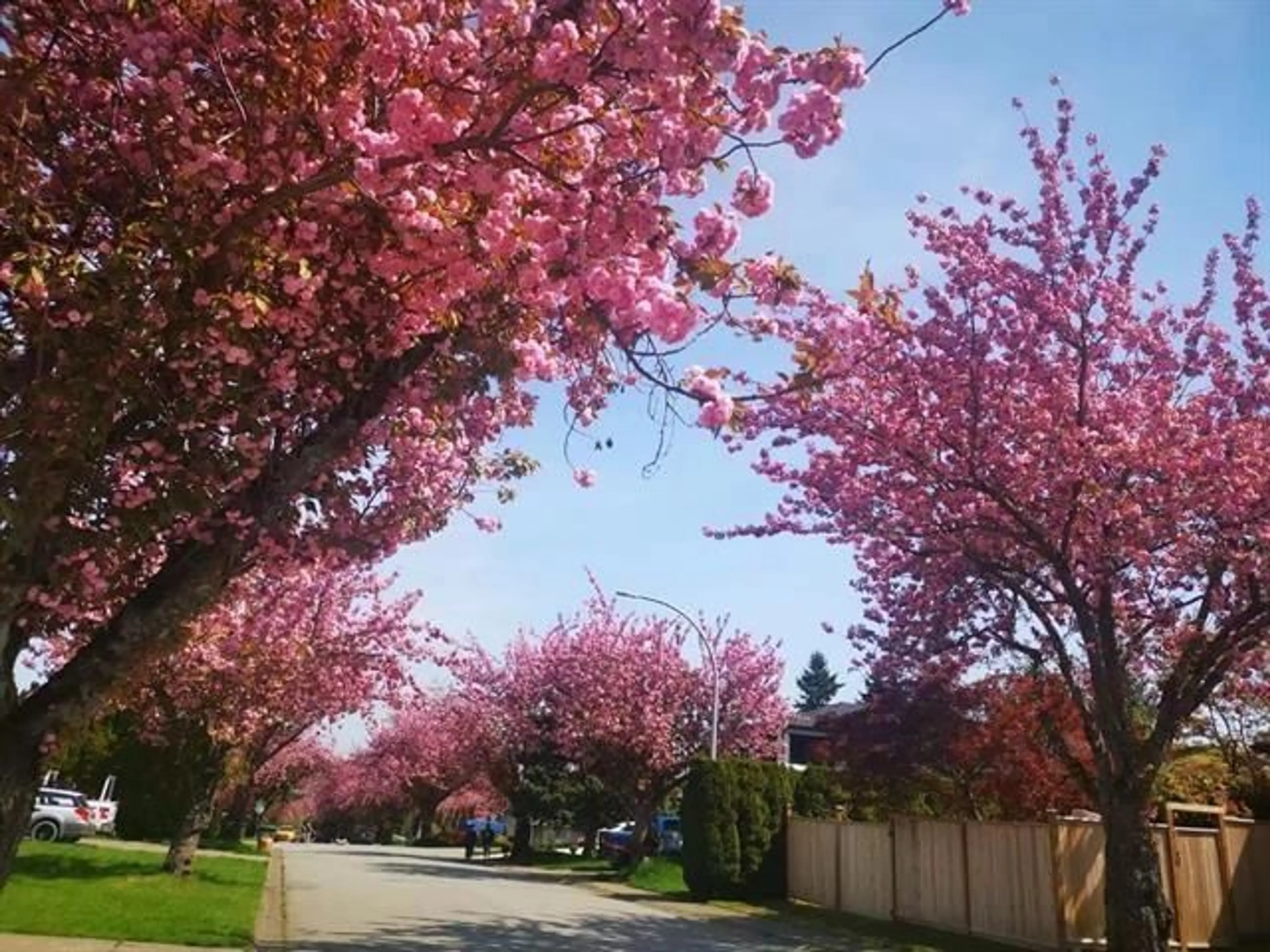 Blurry image for 15759 101 AVENUE, Surrey British Columbia V4N2S5