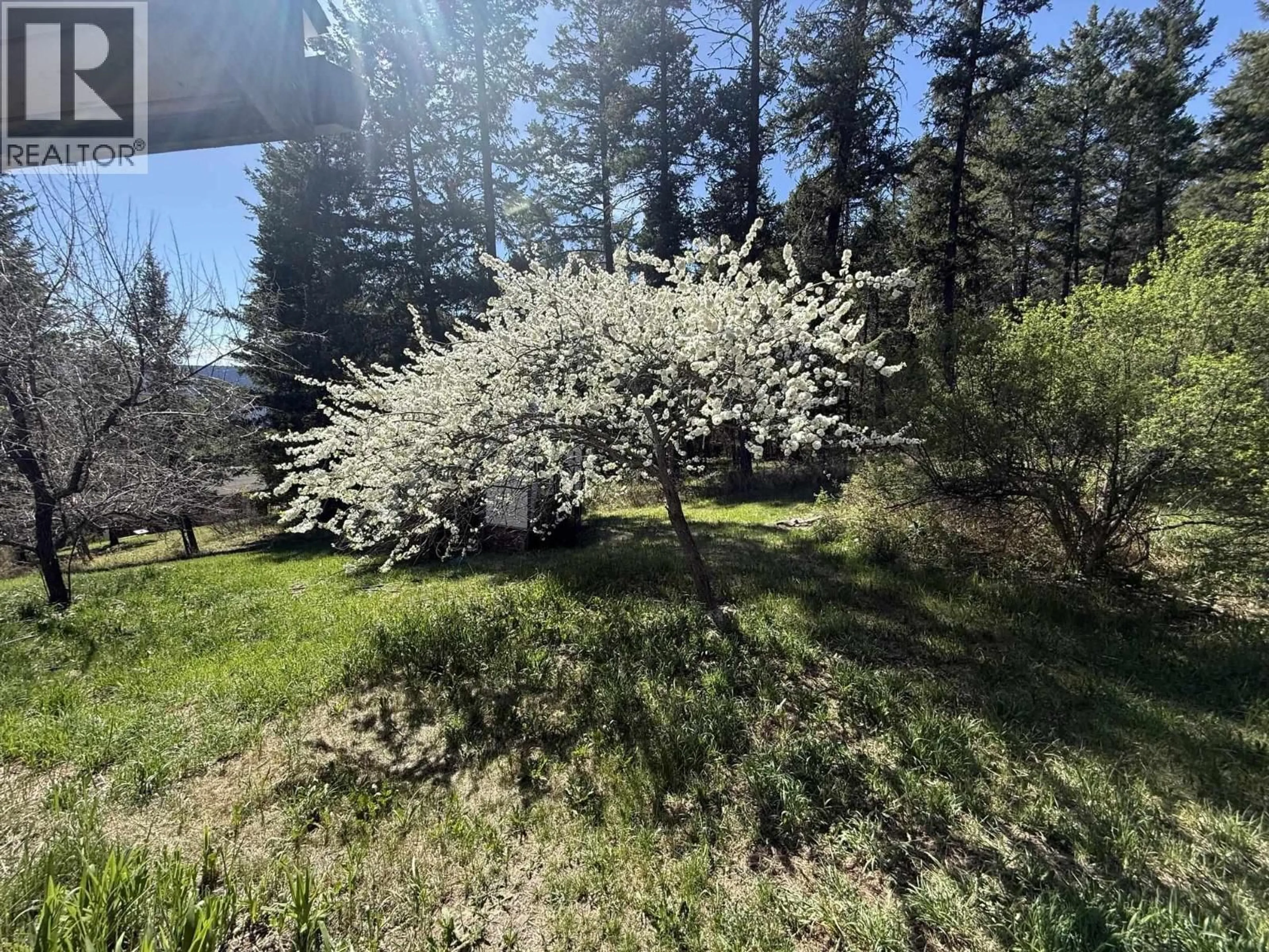 A pic from outside/outdoor area/front of a property/back of a property/a pic from drone, forest/trees view for 1680 168 MILE ROAD, Williams Lake British Columbia V2G5C6