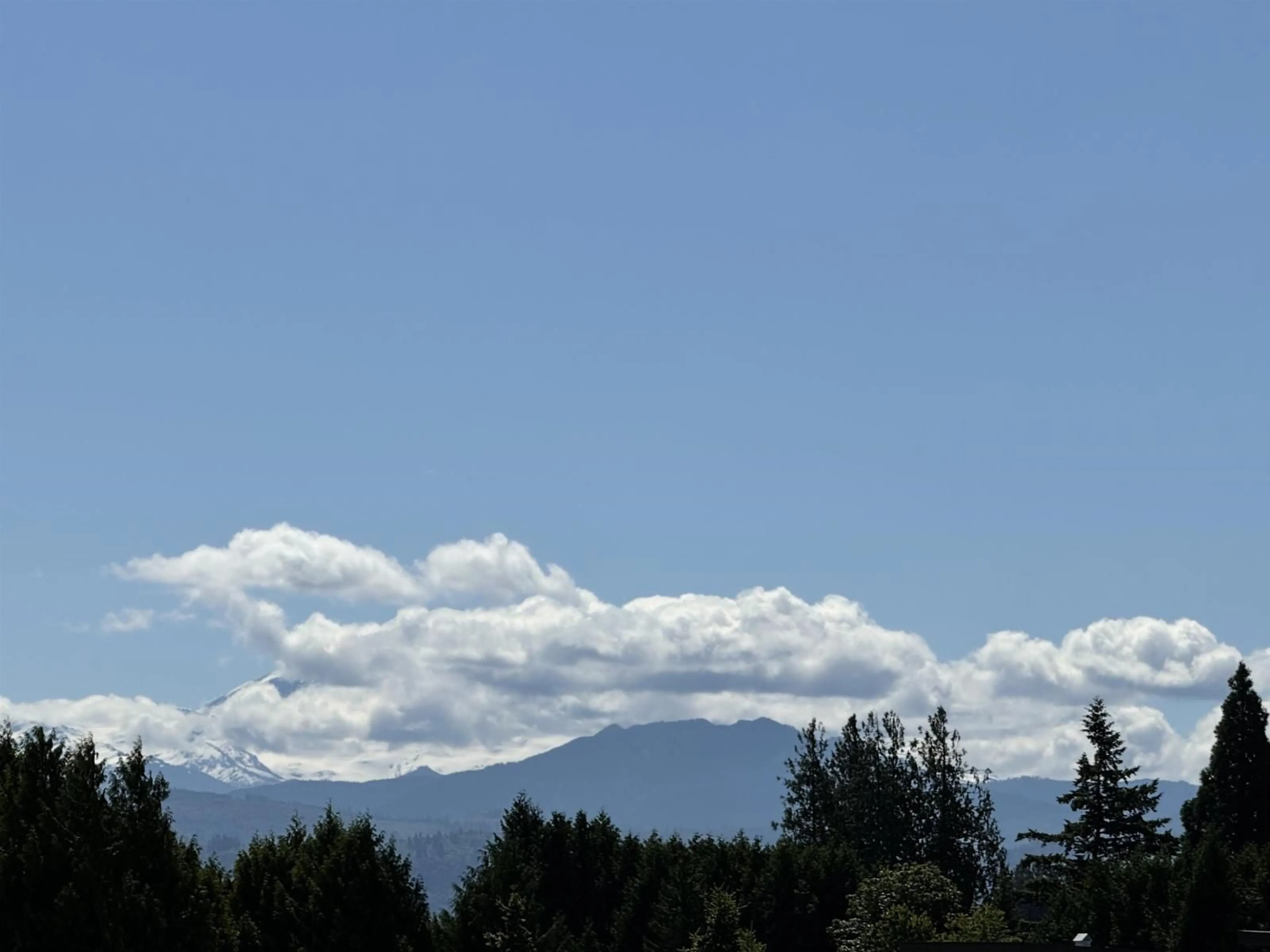 Blurry image for 502 - 33540 MAYFAIR AVENUE, Abbotsford British Columbia V2S0J3
