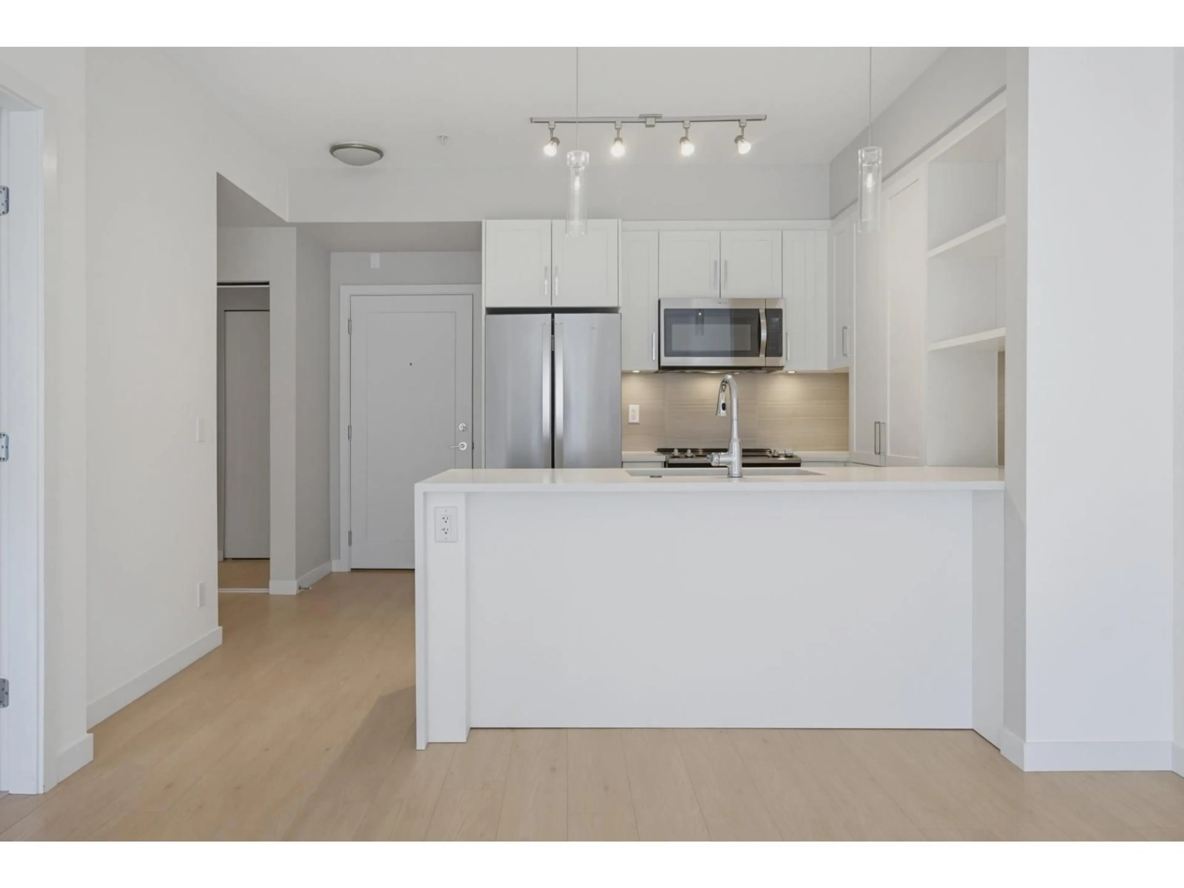 Standard kitchen, unknown for E305 - 20211 66 AVENUE, Langley British Columbia V2Y0L4