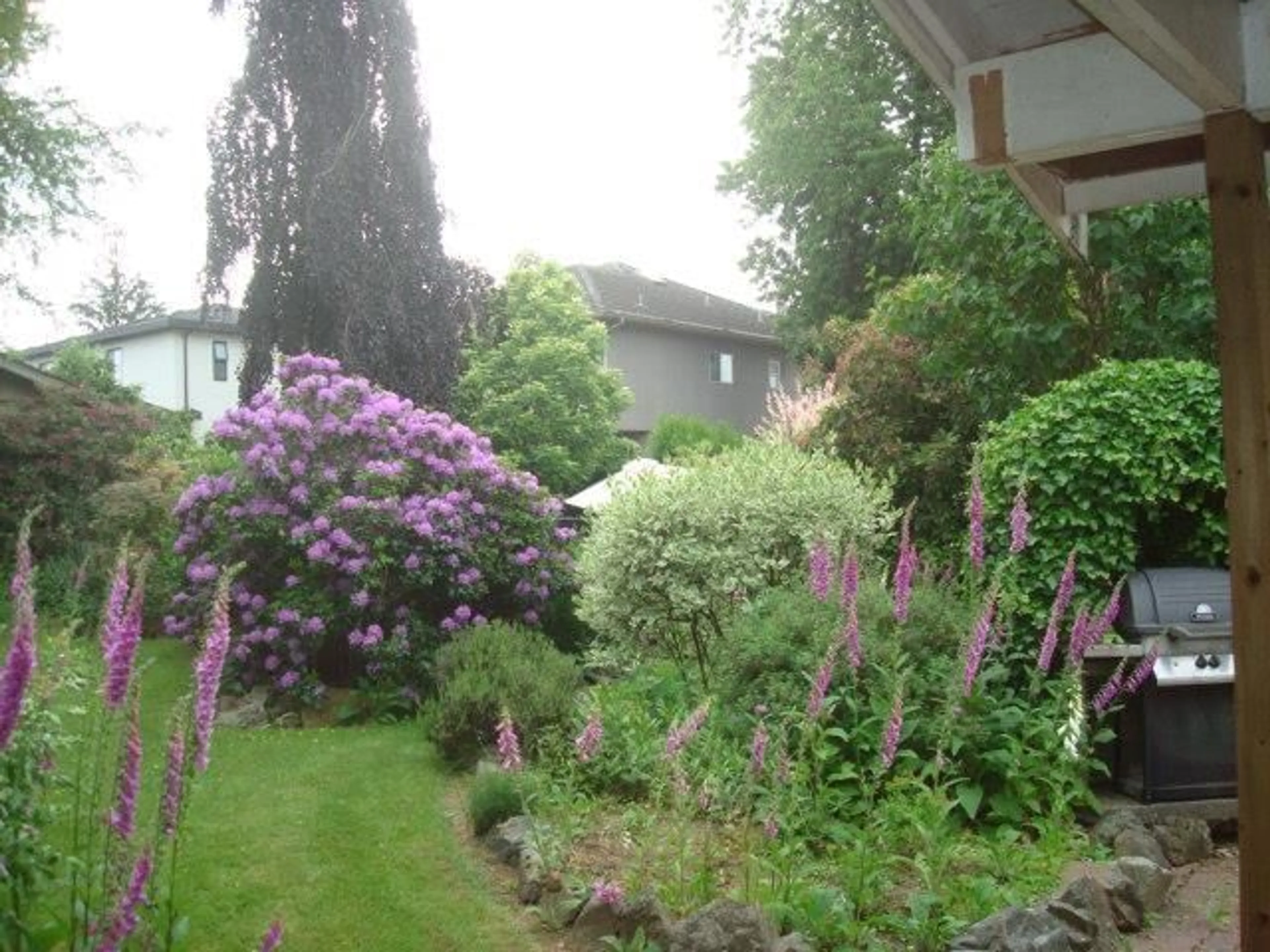 Patio, street for 13130 110 AVENUE, Surrey British Columbia V3T2P9