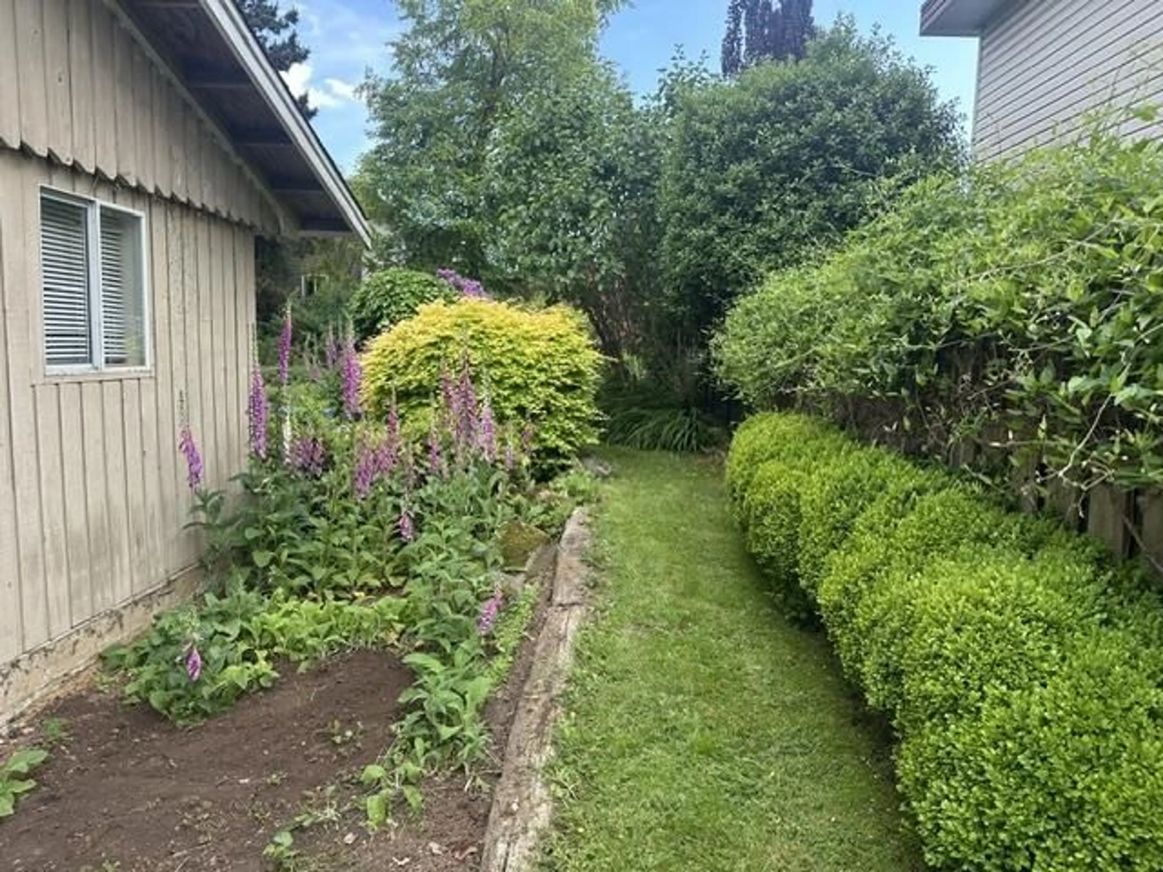 A pic from outside/outdoor area/front of a property/back of a property/a pic from drone, street for 13130 110 AVENUE, Surrey British Columbia V3T2P9