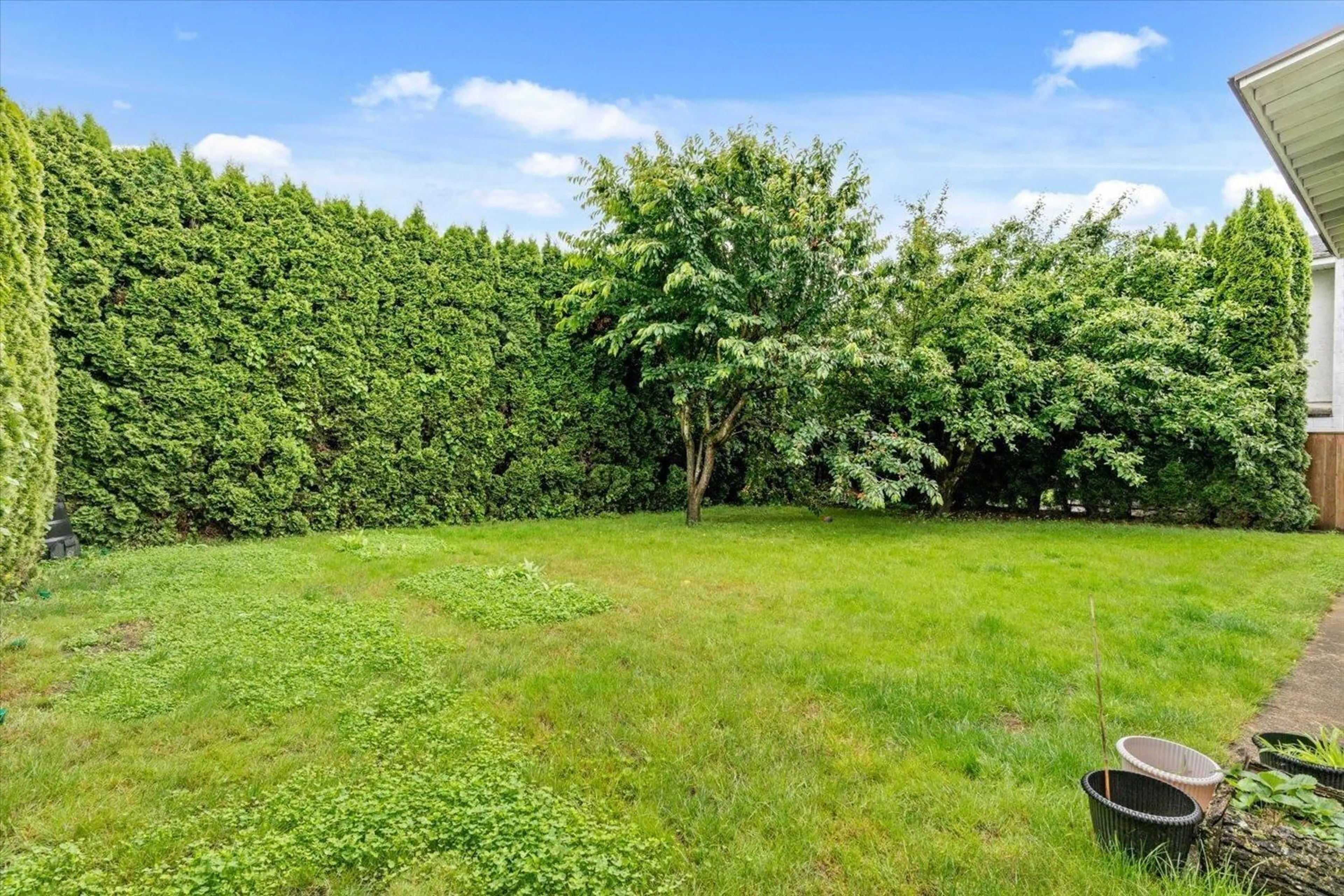 A pic from outside/outdoor area/front of a property/back of a property/a pic from drone, forest/trees view for 9140 ASHWELL ROAD, Chilliwack British Columbia V2P7L9