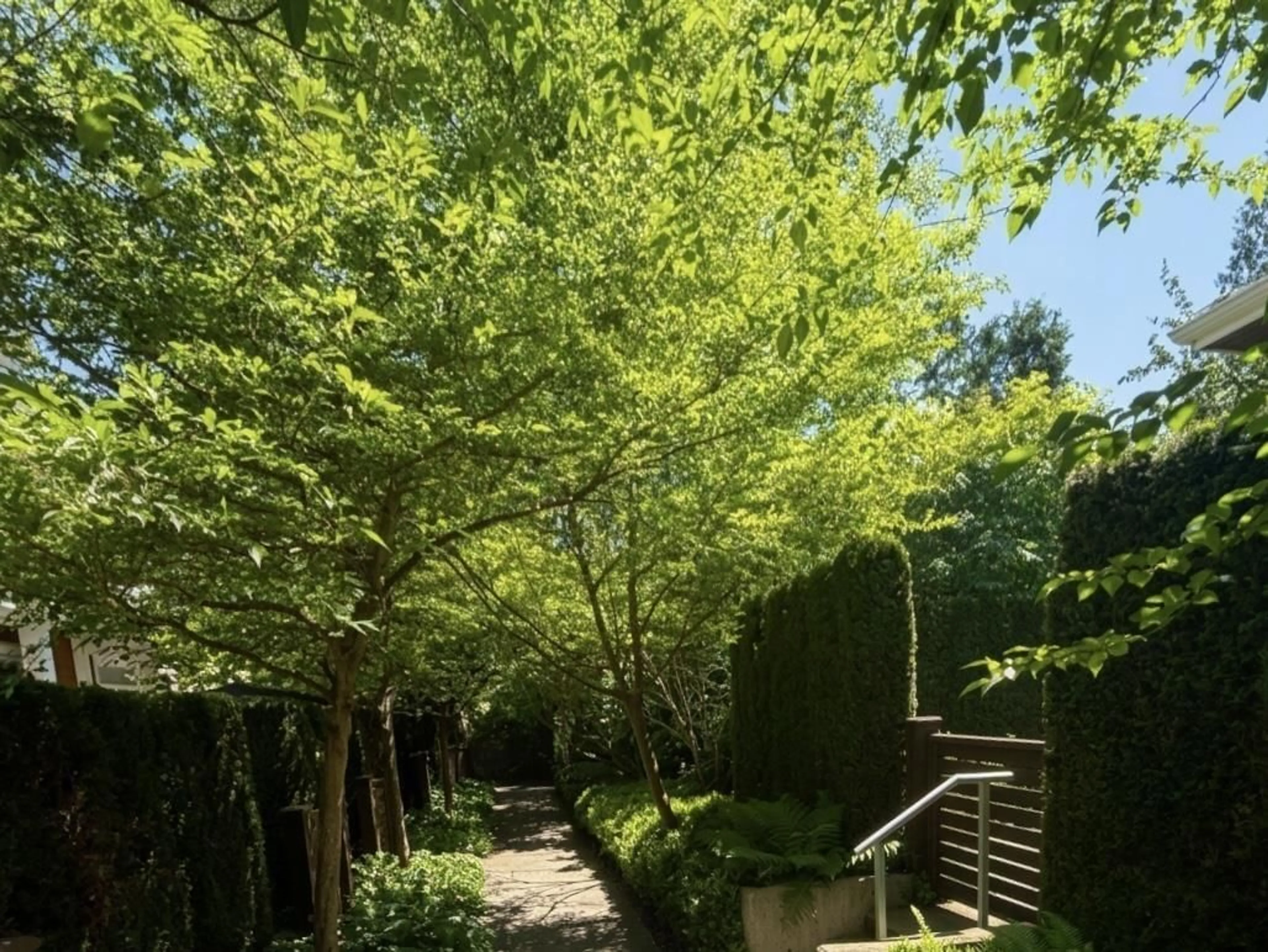 A pic from outside/outdoor area/front of a property/back of a property/a pic from drone, forest/trees view for 13 - 2978 159 STREET, Surrey British Columbia V3Z0R1