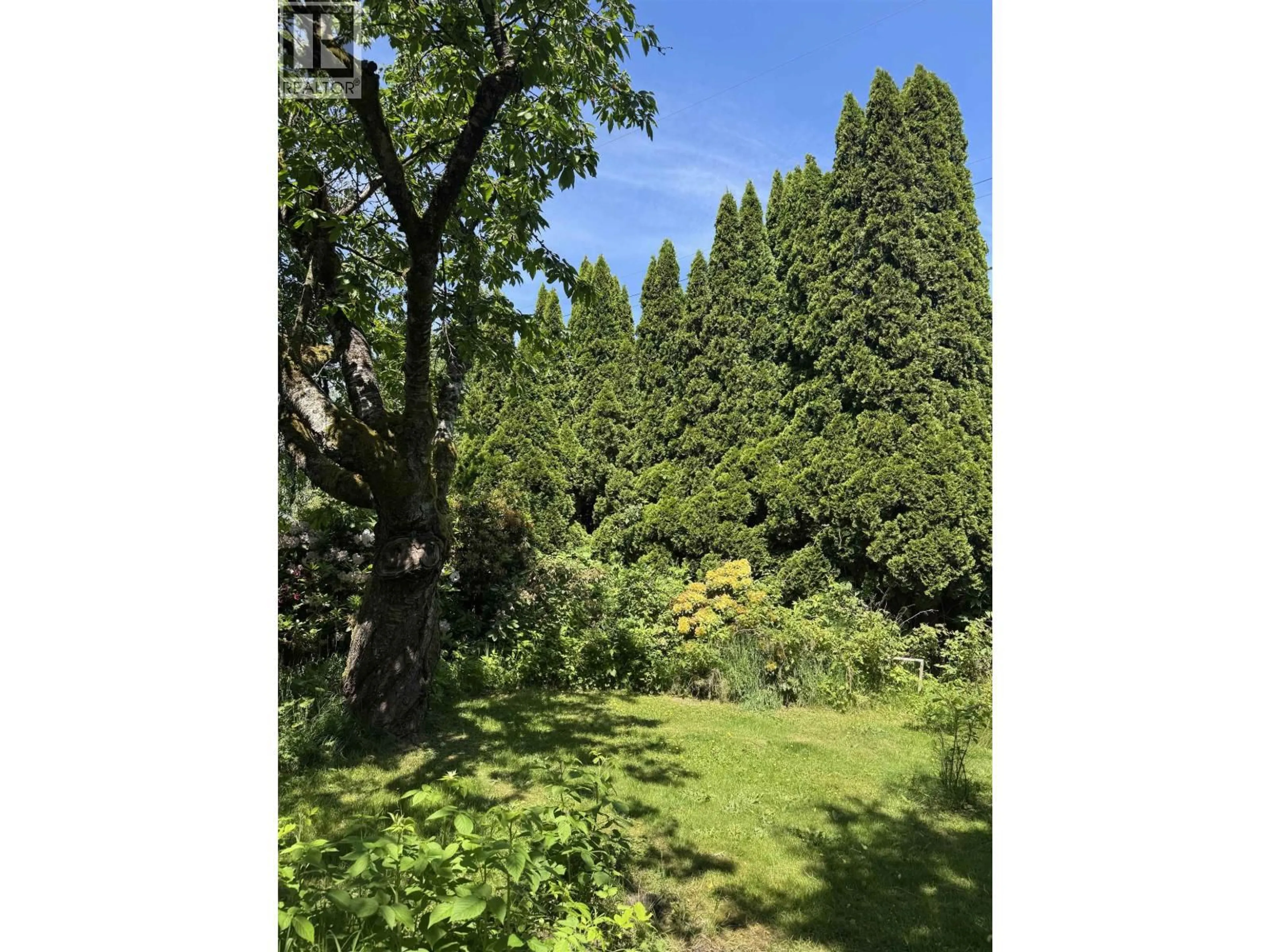 A pic from outside/outdoor area/front of a property/back of a property/a pic from drone, forest/trees view for 311 21ST AVENUE, Vancouver British Columbia V5Y2E4