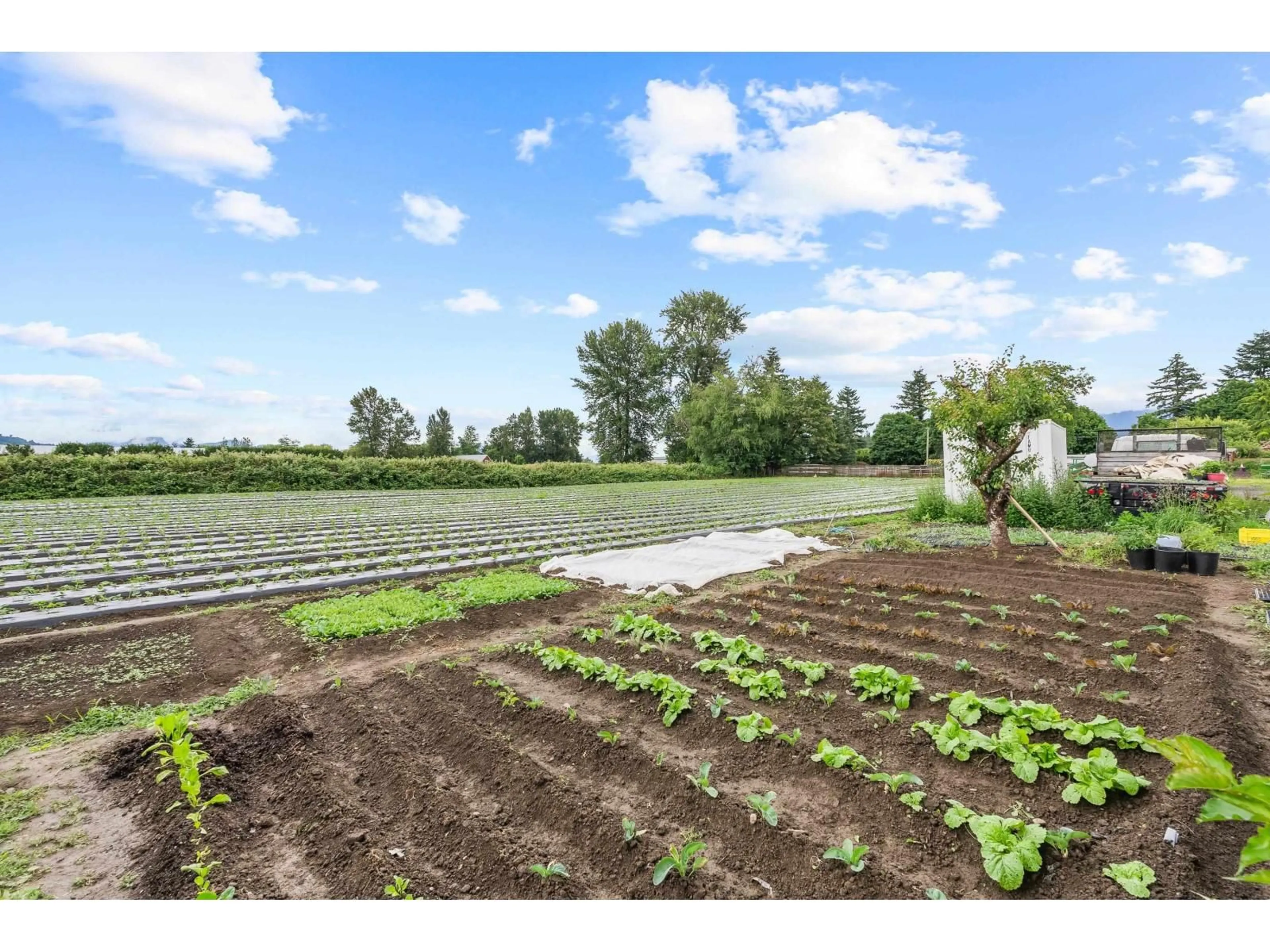 A pic from outside/outdoor area/front of a property/back of a property/a pic from drone, street for 44081 KEITH WILSON ROAD, Chilliwack British Columbia V2R4B5