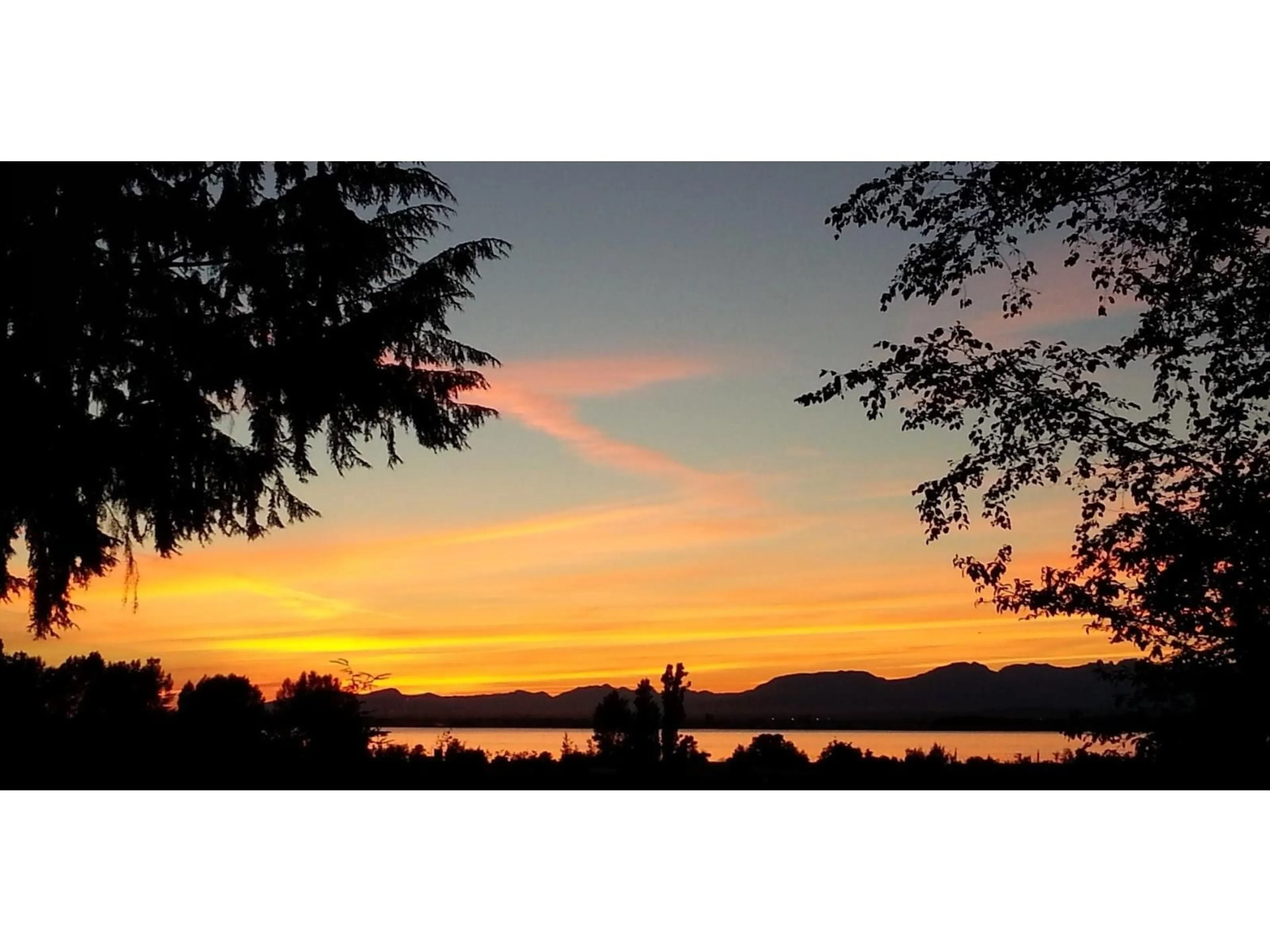 Blurry image for 12581 CRESCENT ROAD, Surrey British Columbia V4A2V4