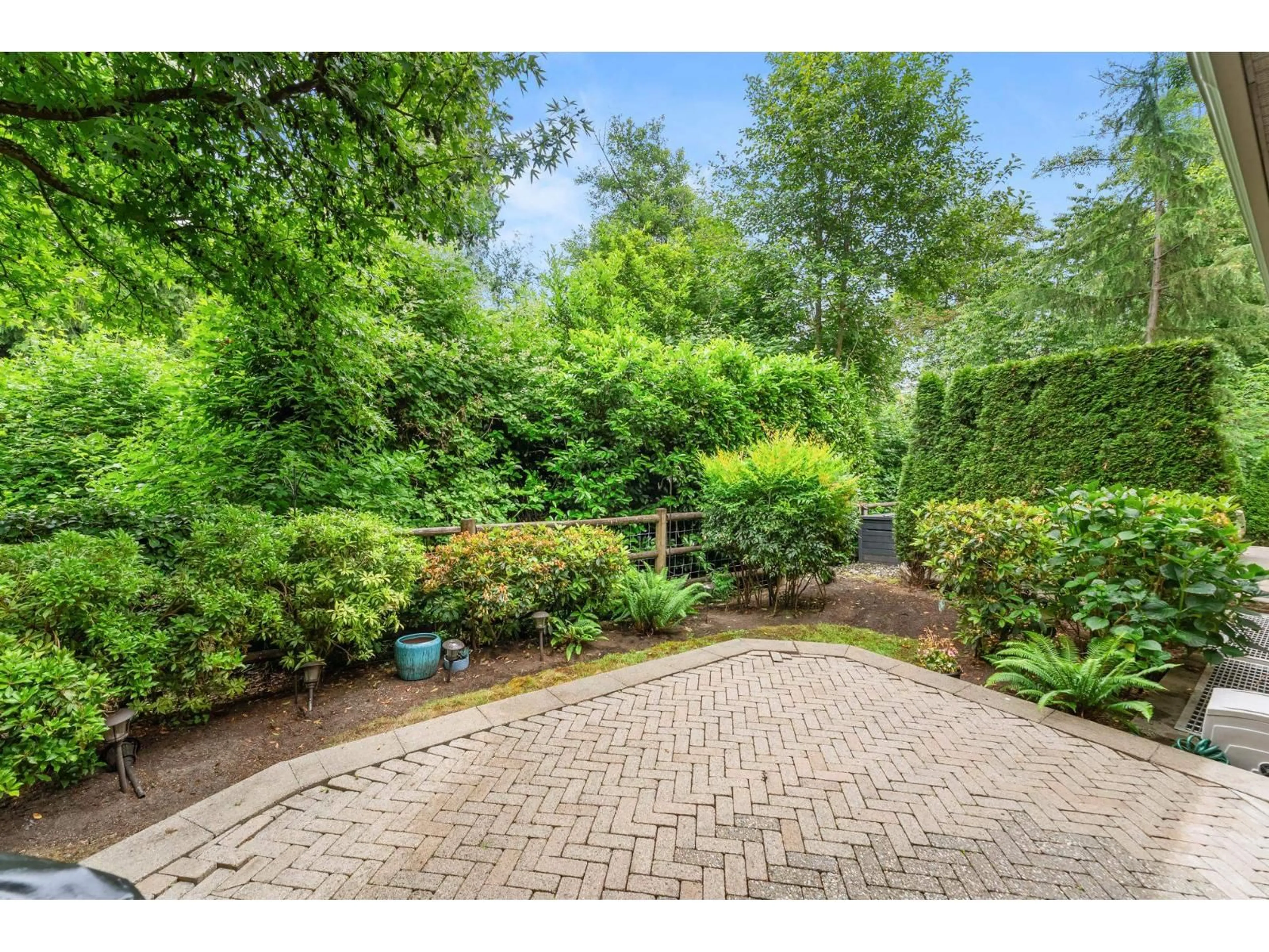 Patio, forest/trees view for 18 - 3122 160 STREET, Surrey British Columbia V3Z8K5