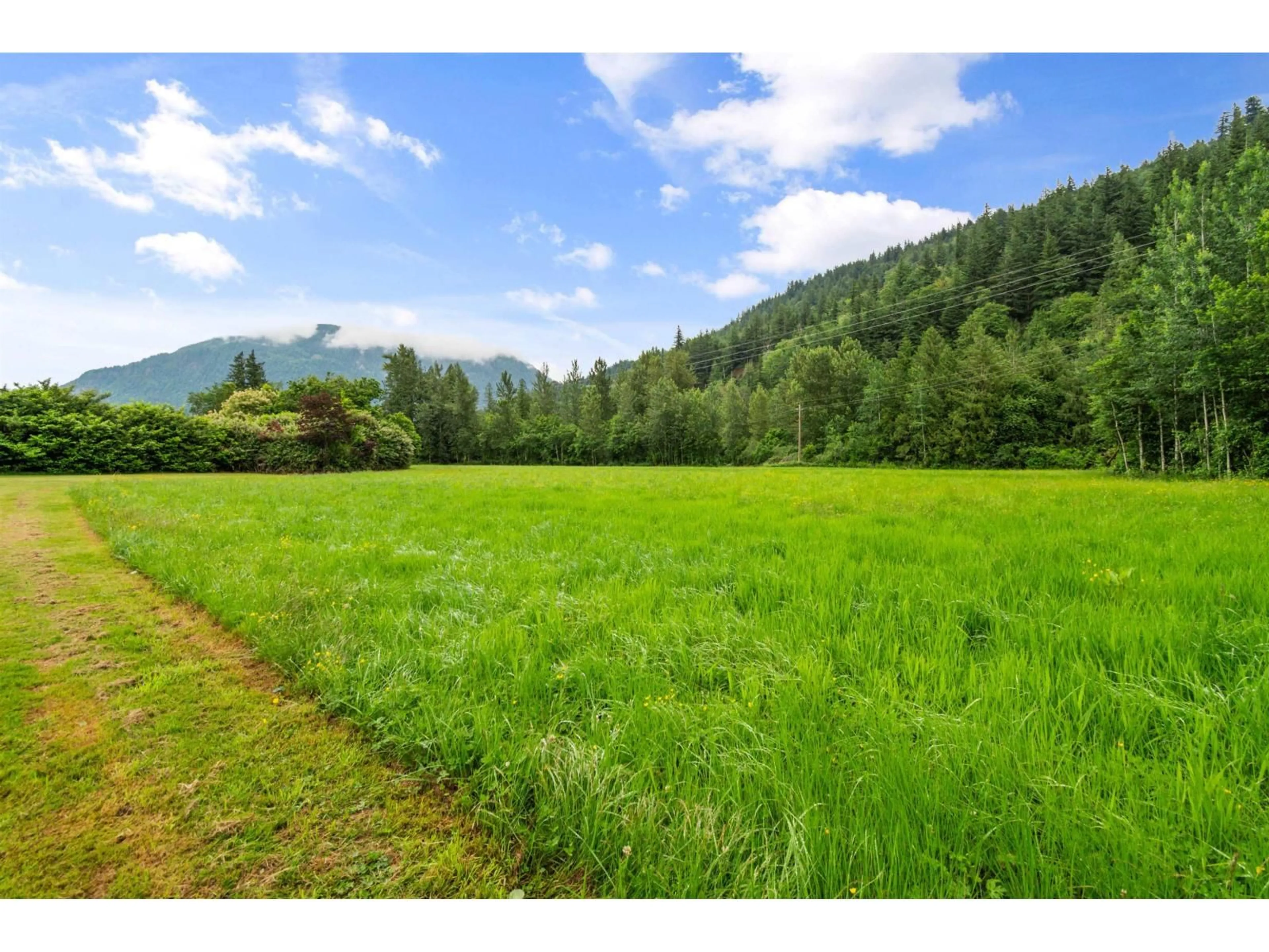 A pic from outside/outdoor area/front of a property/back of a property/a pic from drone, forest/trees view for 3510 HOT SPRINGS ROAD, Agassiz British Columbia V0M1A3