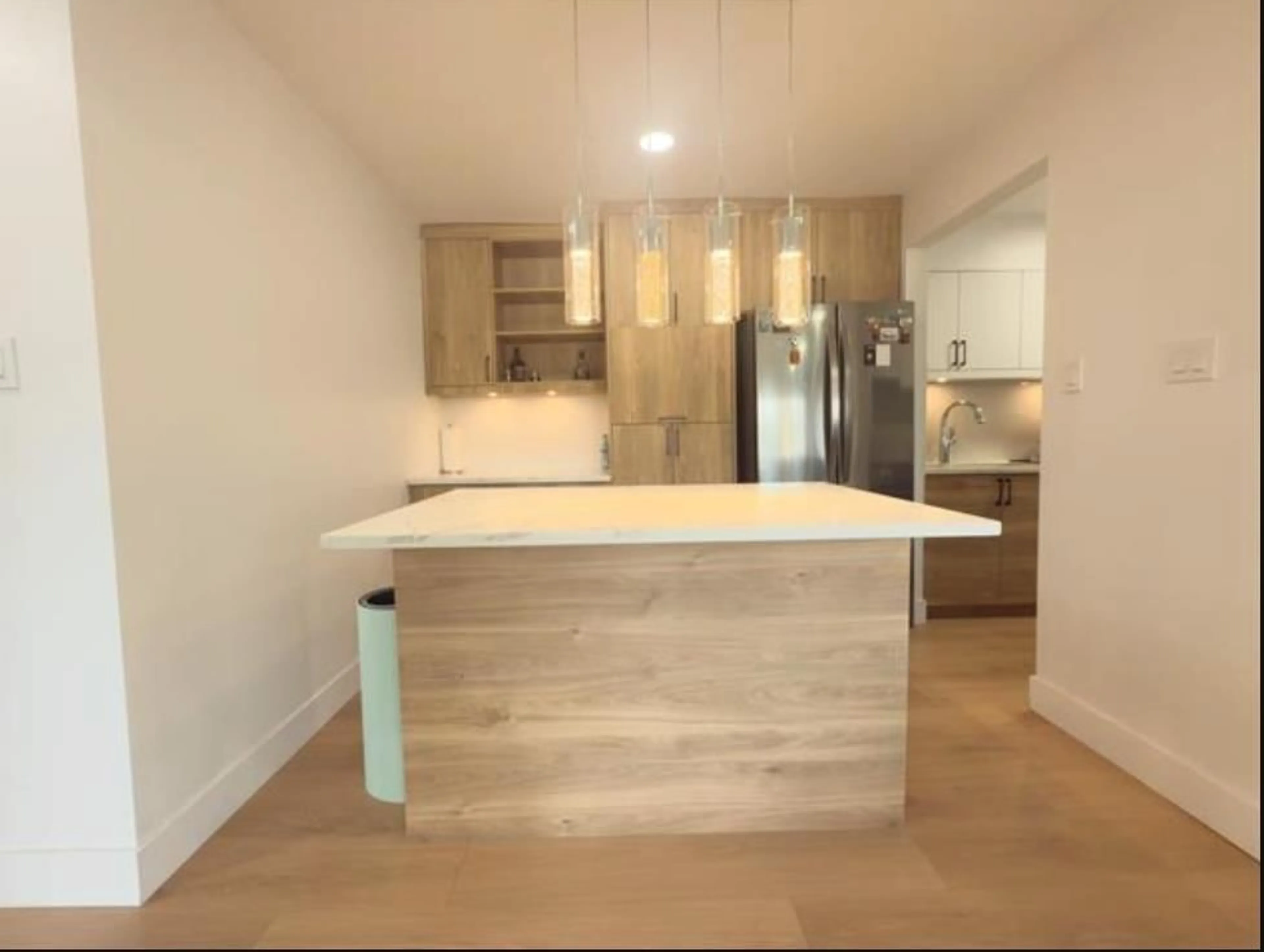 Open concept kitchen, wood/laminate floor for 218 - 11816 88 AVENUE, Delta British Columbia V4C3C5