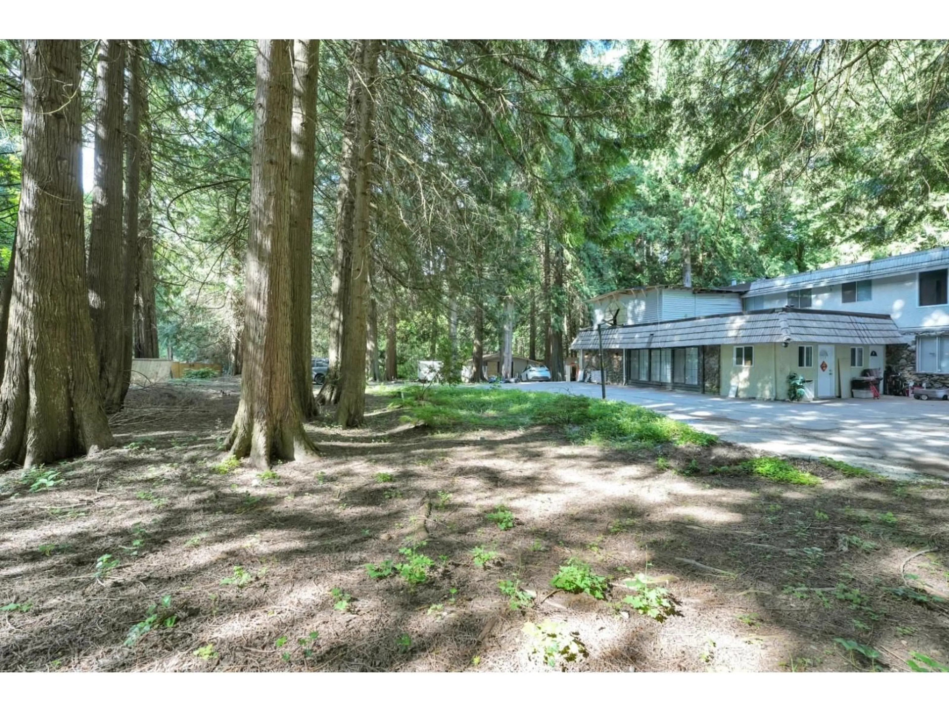 A pic from outside/outdoor area/front of a property/back of a property/a pic from drone, forest/trees view for 2838 132 STREET, Surrey British Columbia V4P1K2