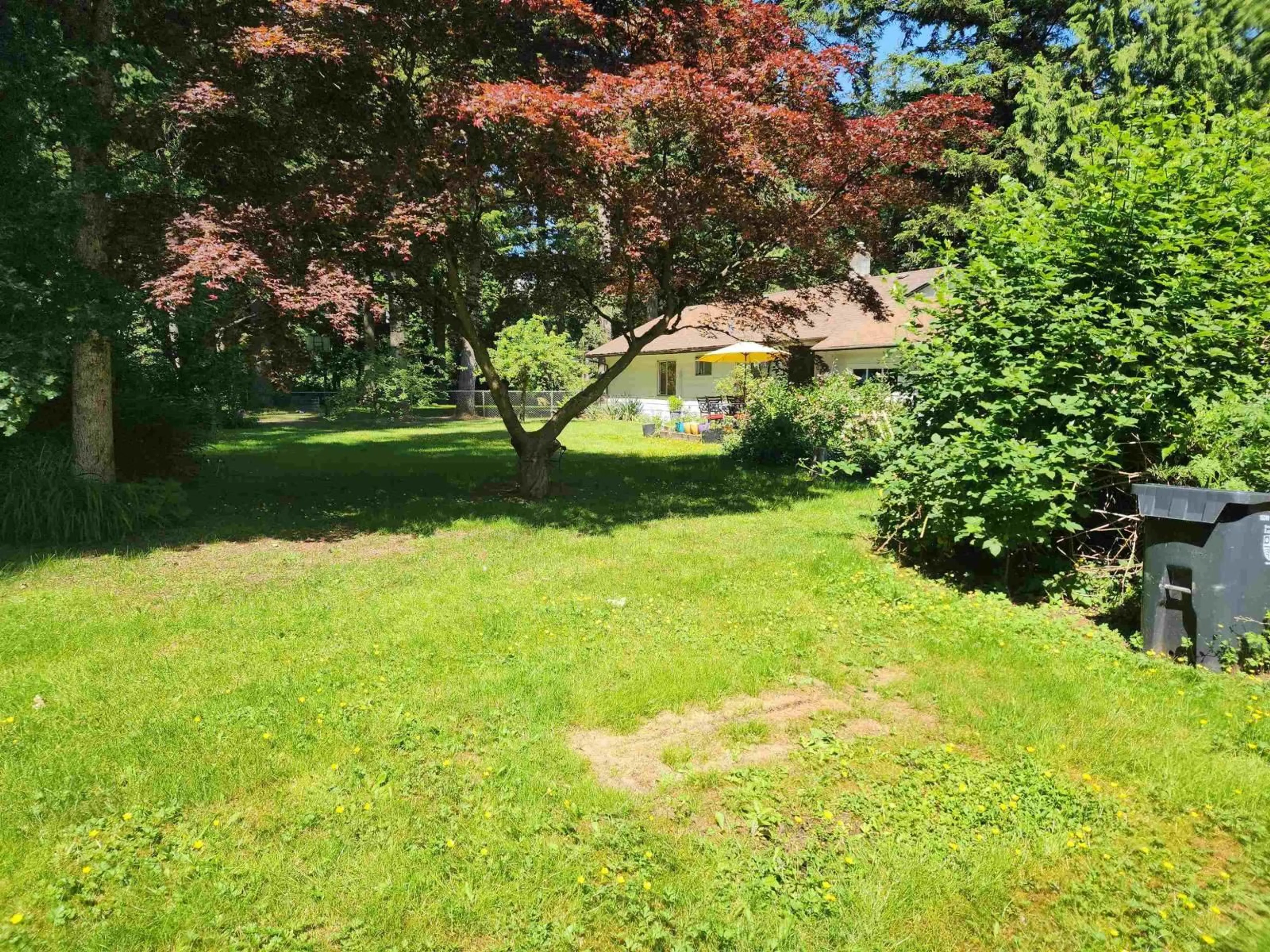A pic from outside/outdoor area/front of a property/back of a property/a pic from drone, forest/trees view for 20176 28 AVENUE, Langley British Columbia V2Z1X2