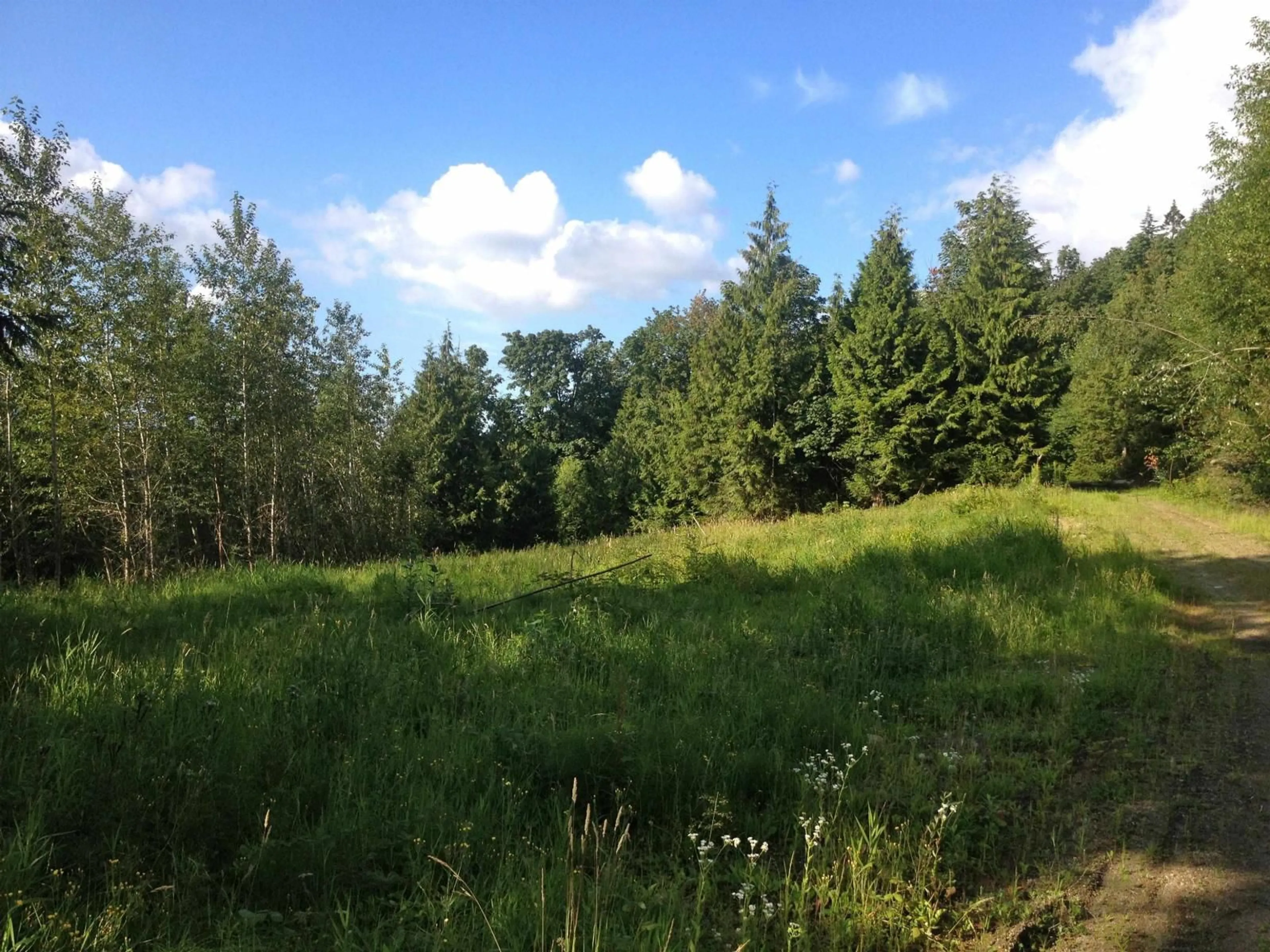 Blurry image for 41320 OLD YALE ROAD, Abbotsford British Columbia V3G2S9