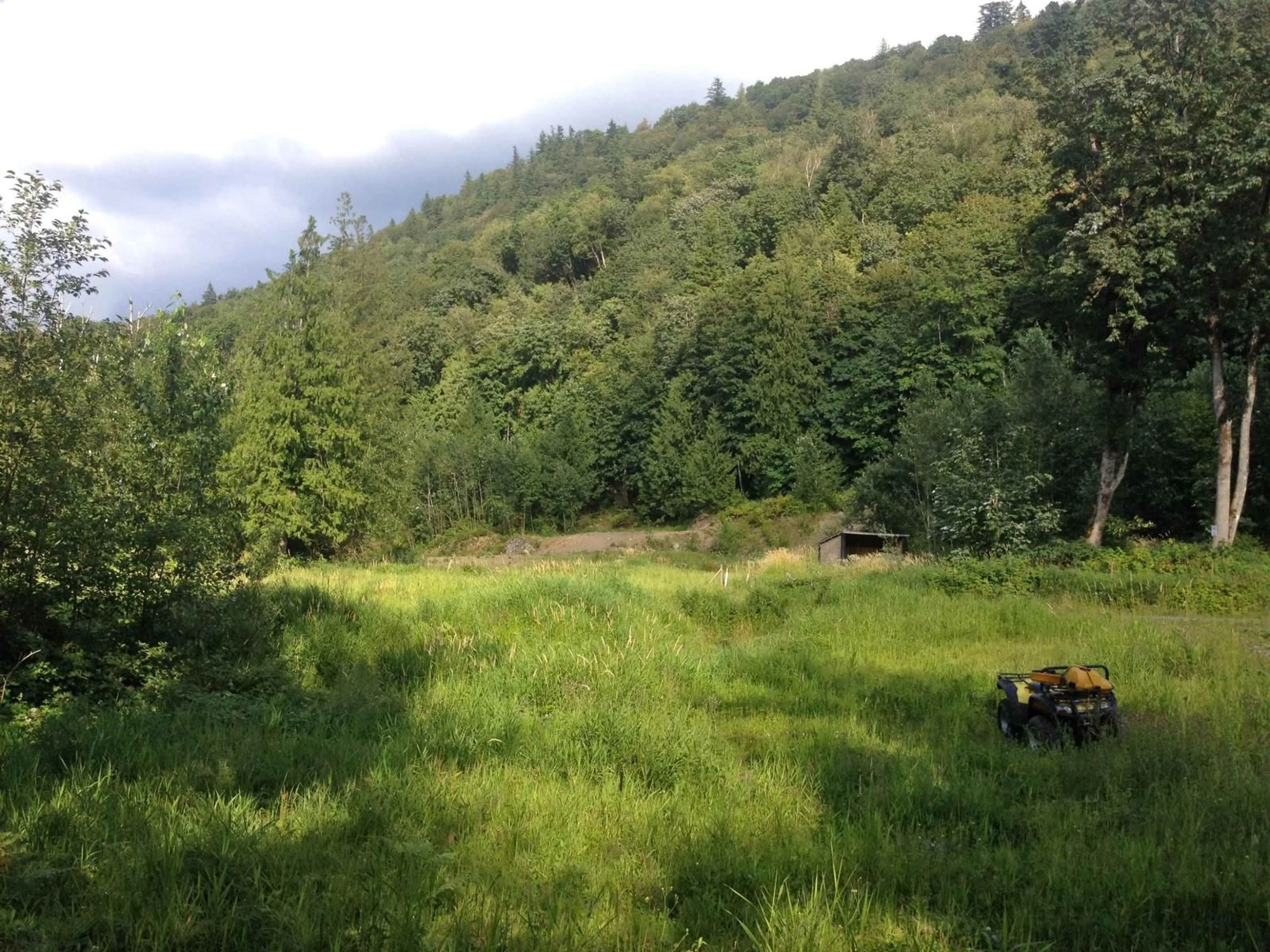 Blurry image for 41320 OLD YALE ROAD, Abbotsford British Columbia V3G2S9