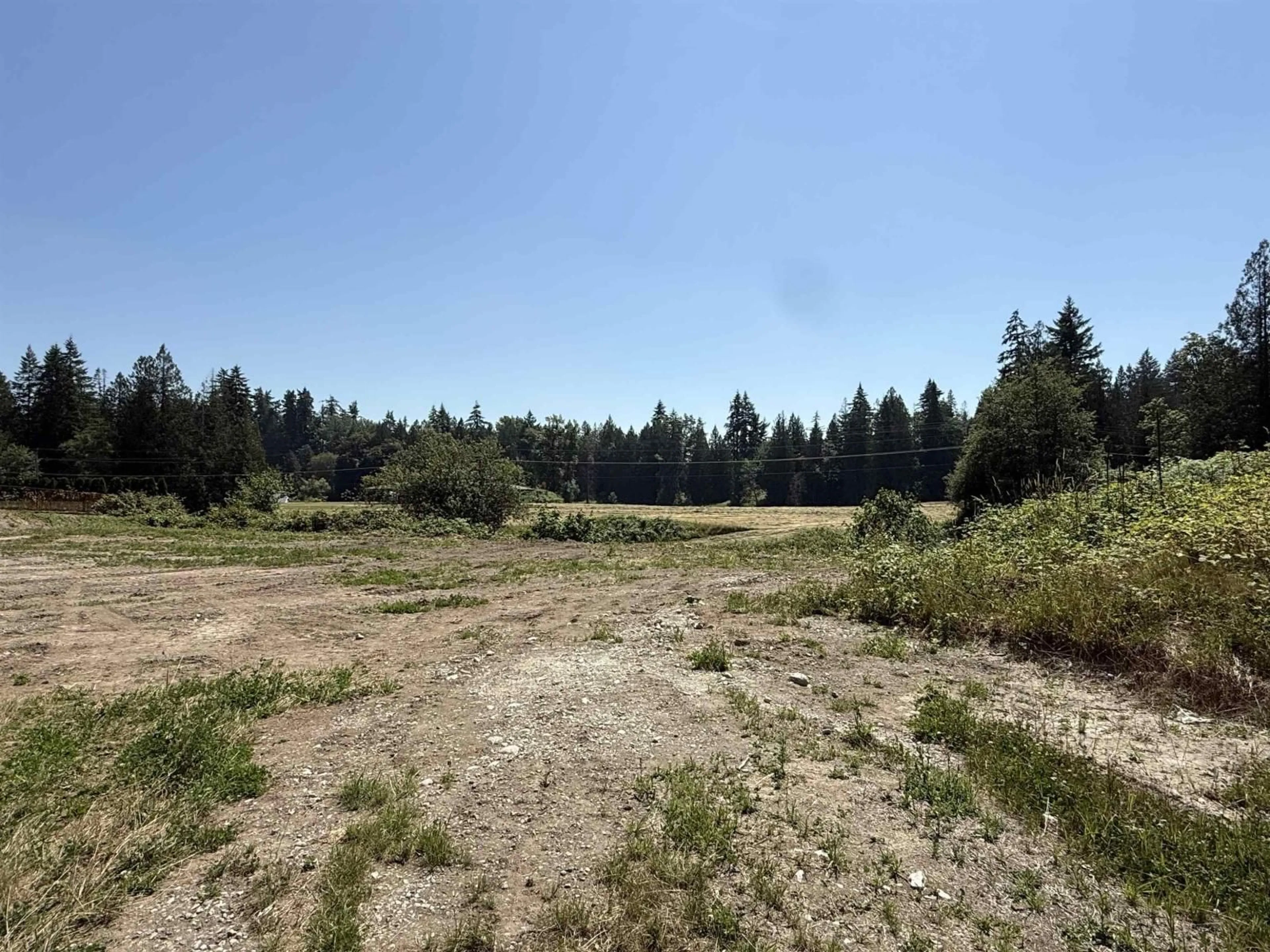 A pic from outside/outdoor area/front of a property/back of a property/a pic from drone, forest/trees view for 22134 96 AVENUE, Langley British Columbia V1M3T8