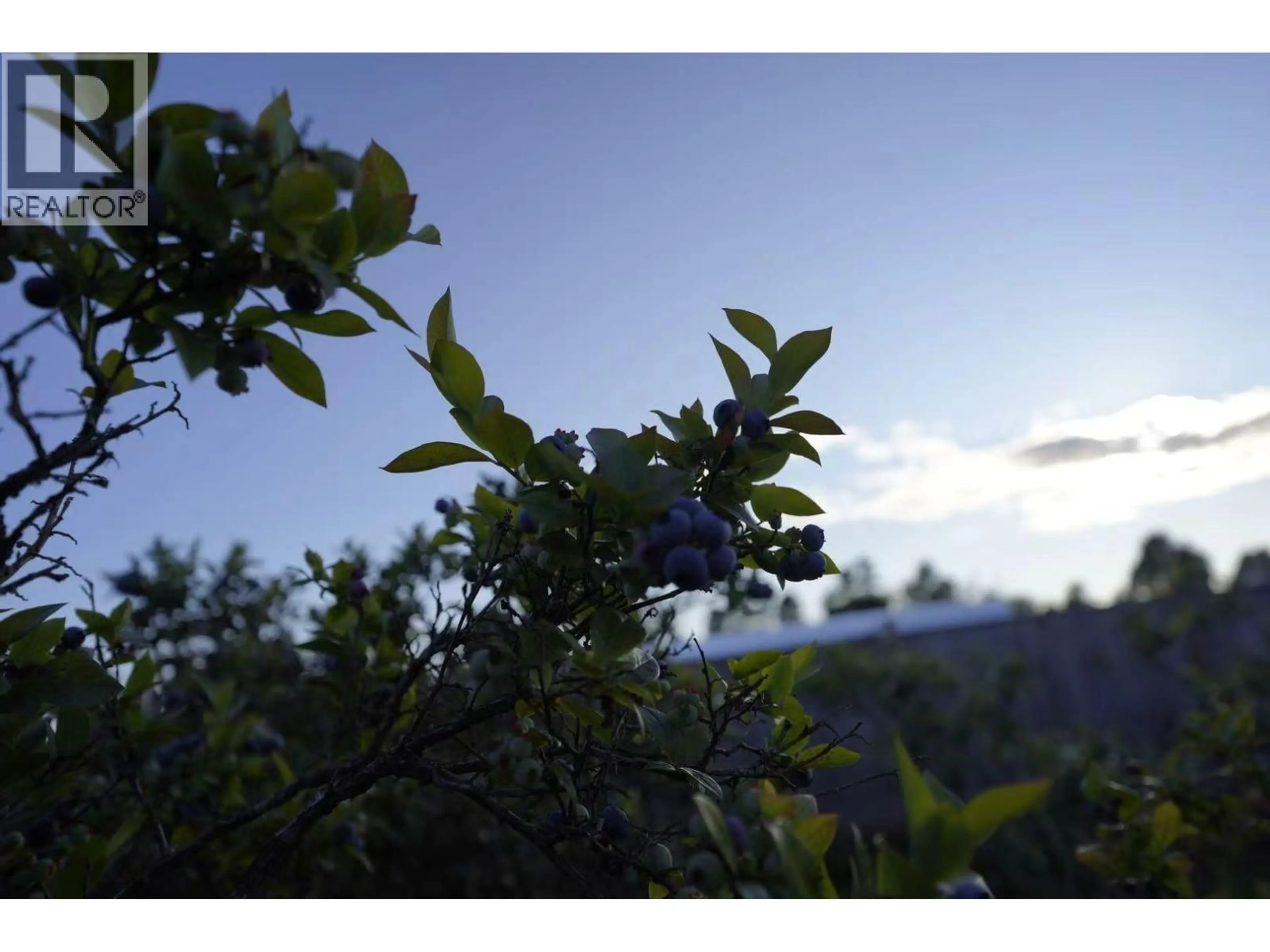 Blurry image for 10400 WESTMINSTER HIGHWAY, Richmond British Columbia V6X1B2