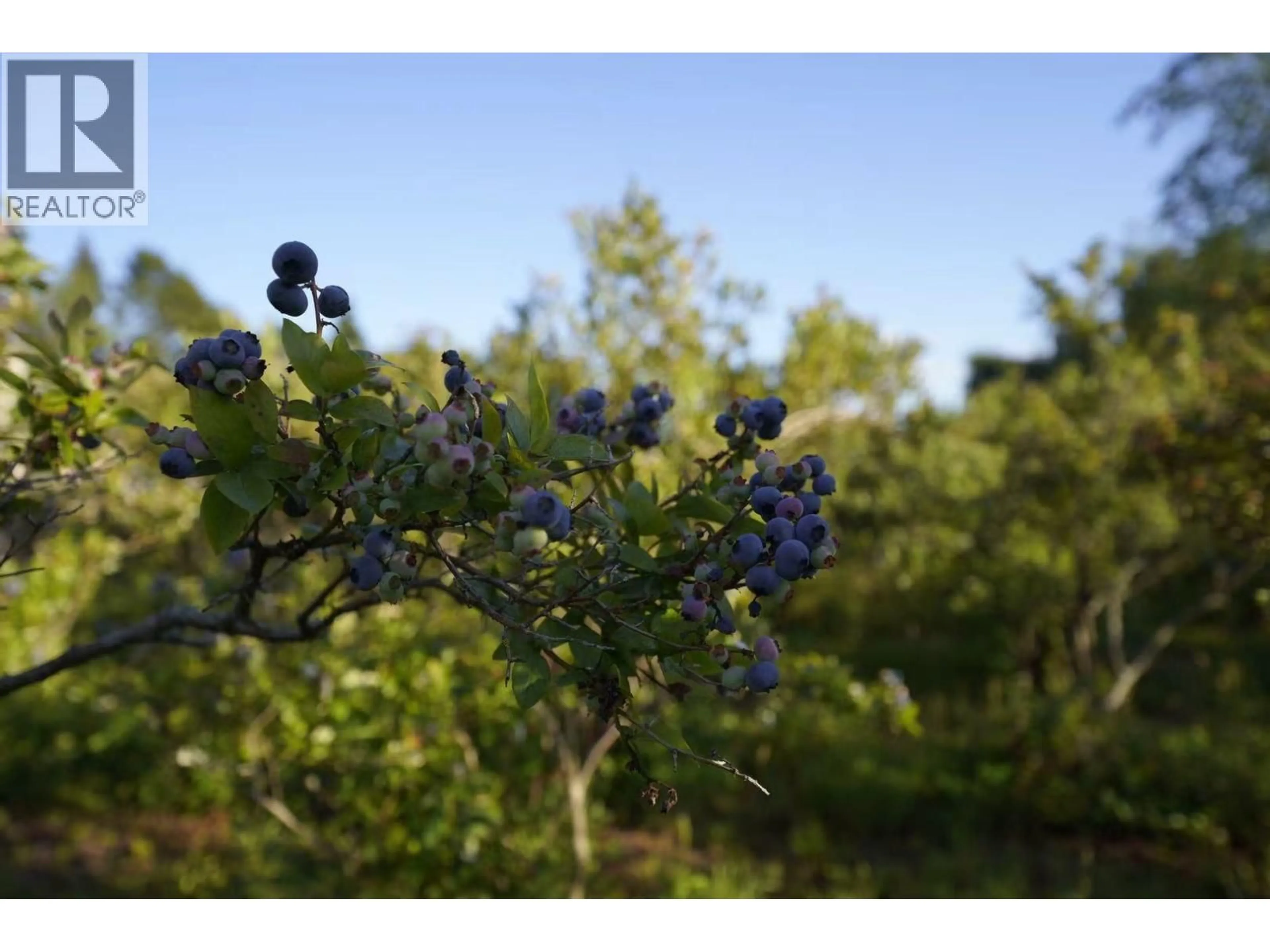 Blurry image for 10400 WESTMINSTER HIGHWAY, Richmond British Columbia V6X1B2