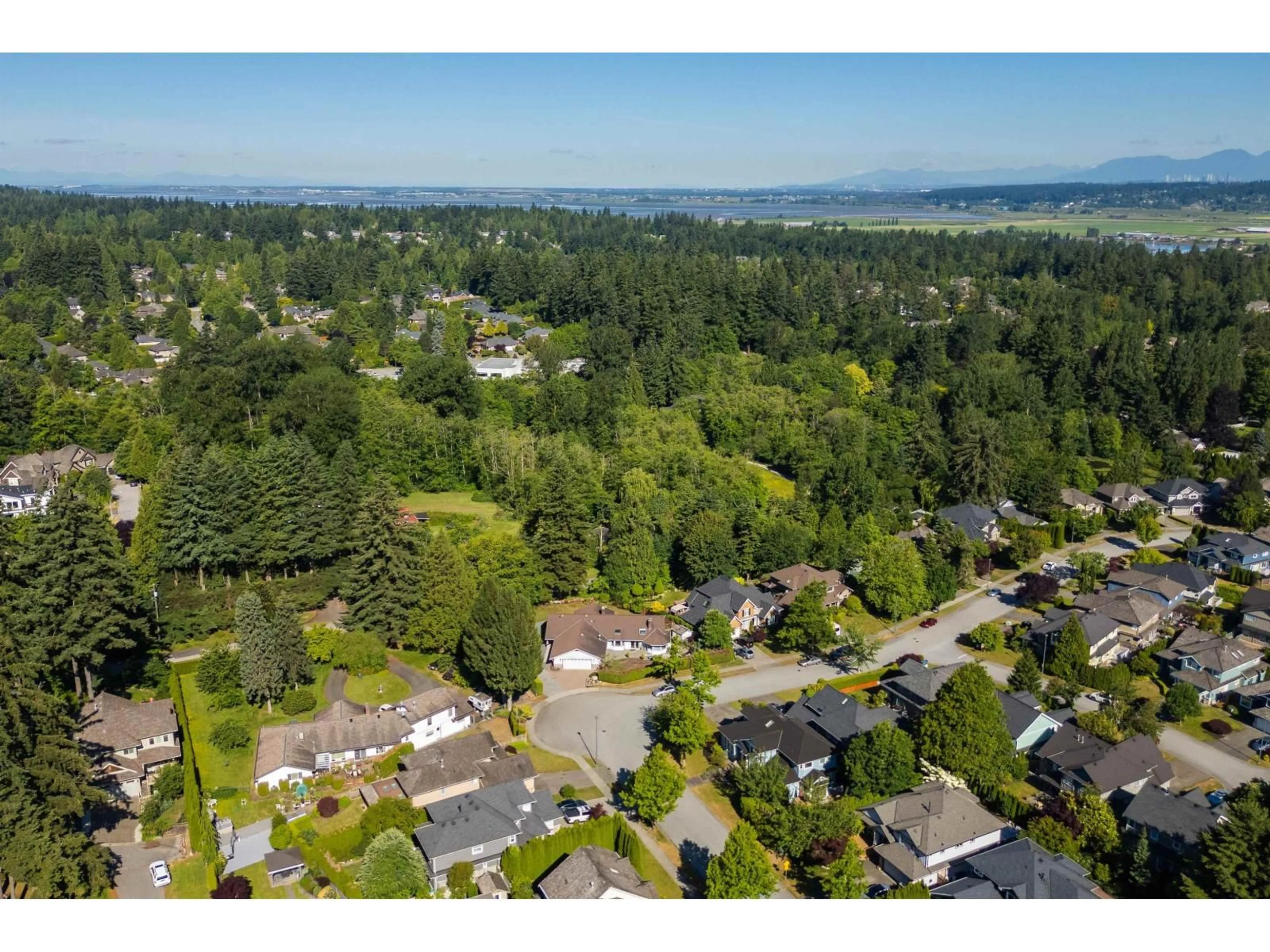 A pic from outside/outdoor area/front of a property/back of a property/a pic from drone, mountain view for 3010 SEMIAHMOO TRAIL, Surrey British Columbia V4P1H3