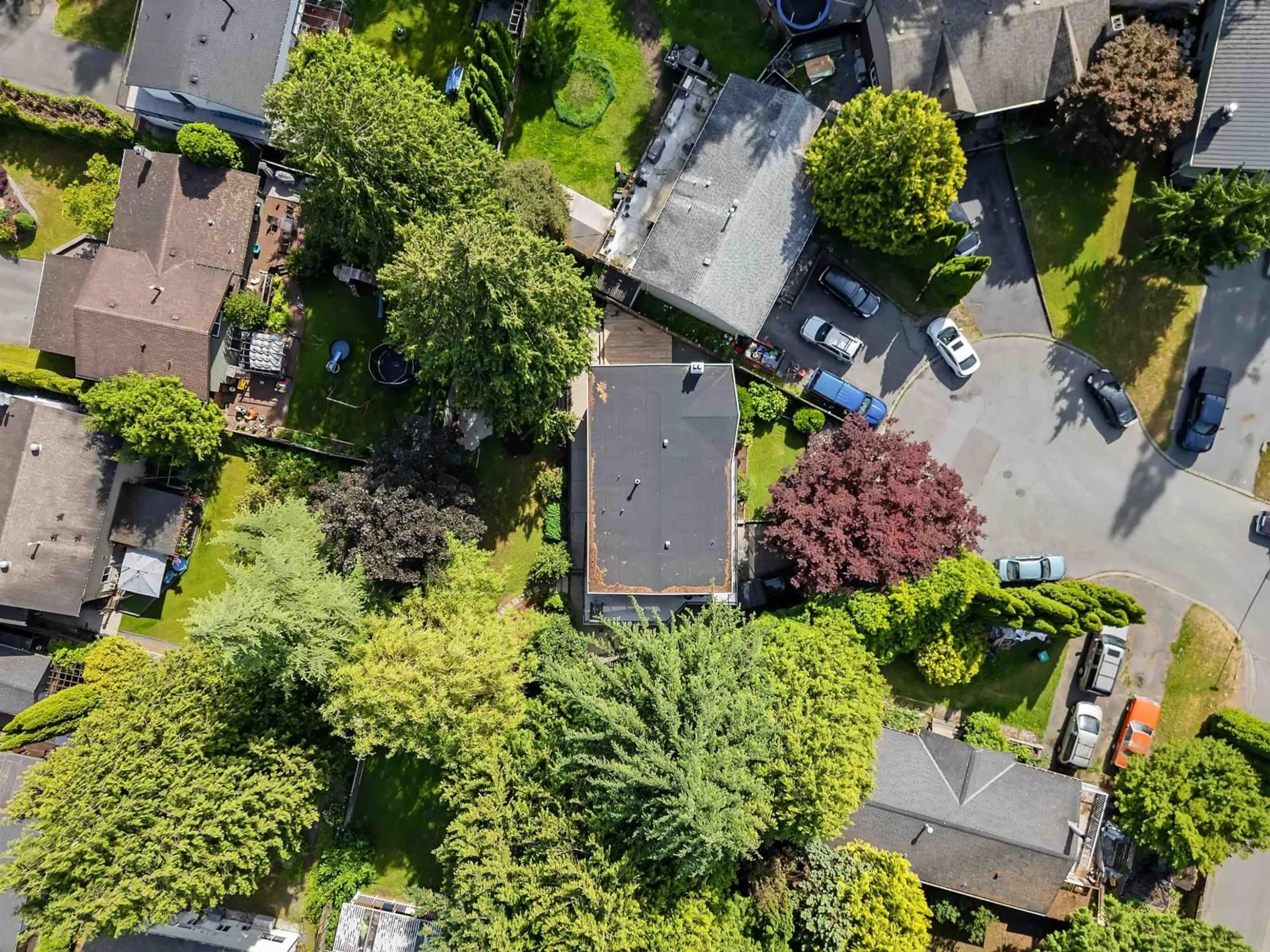 A pic from outside/outdoor area/front of a property/back of a property/a pic from drone, street for 4769 201 STREET, Langley British Columbia V3A6B5