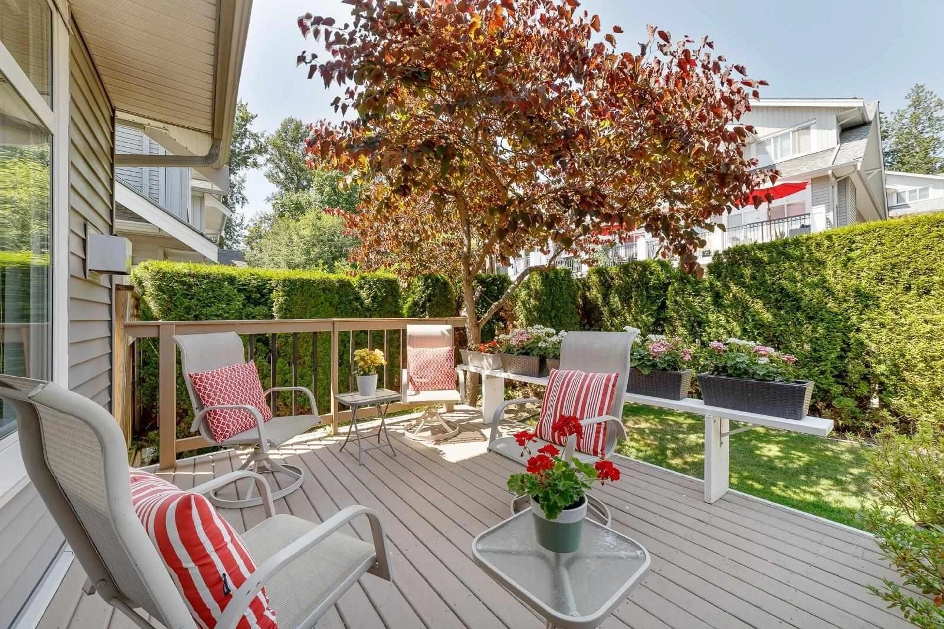 Patio, street for 56 - 20449 66 AVENUE, Langley British Columbia V2Y3C1
