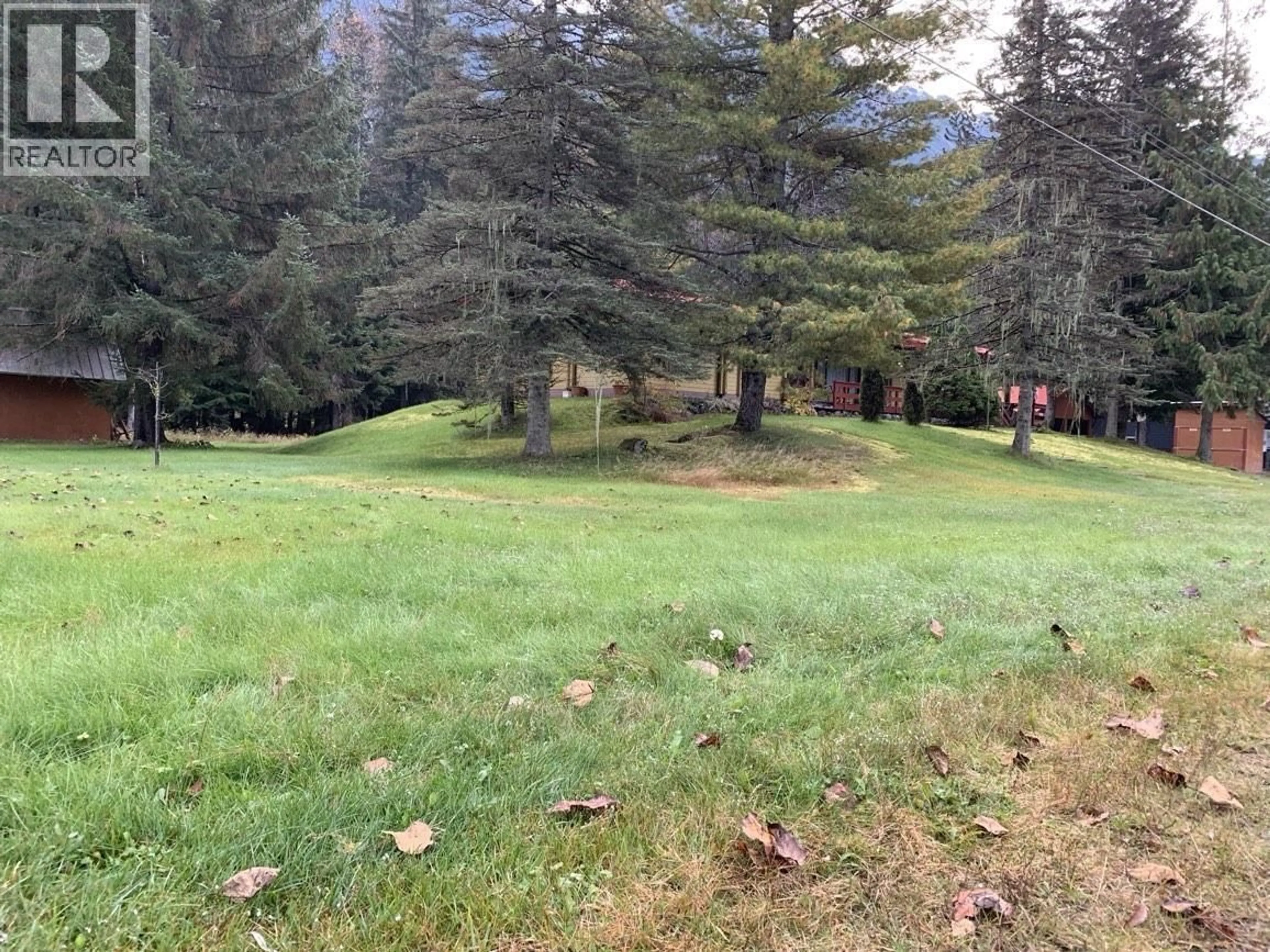 A pic from outside/outdoor area/front of a property/back of a property/a pic from drone, forest/trees view for 1014 RAILWAY STREET, Stewart British Columbia V0T1W0
