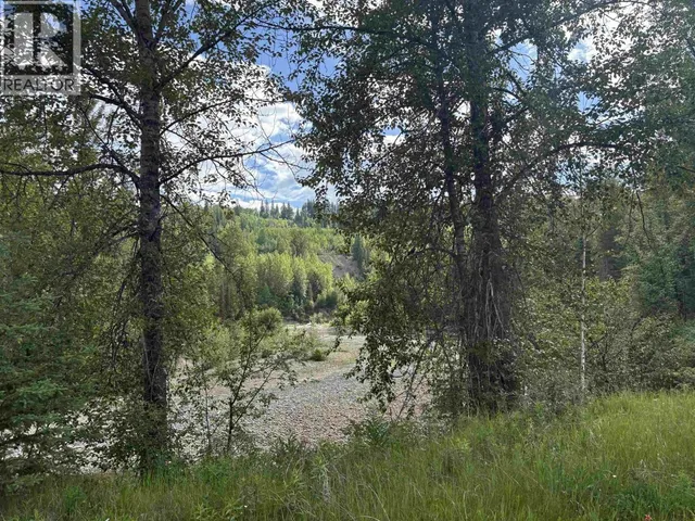 3 - 39142 CARIBOO HIGHWAY, Hixon 2