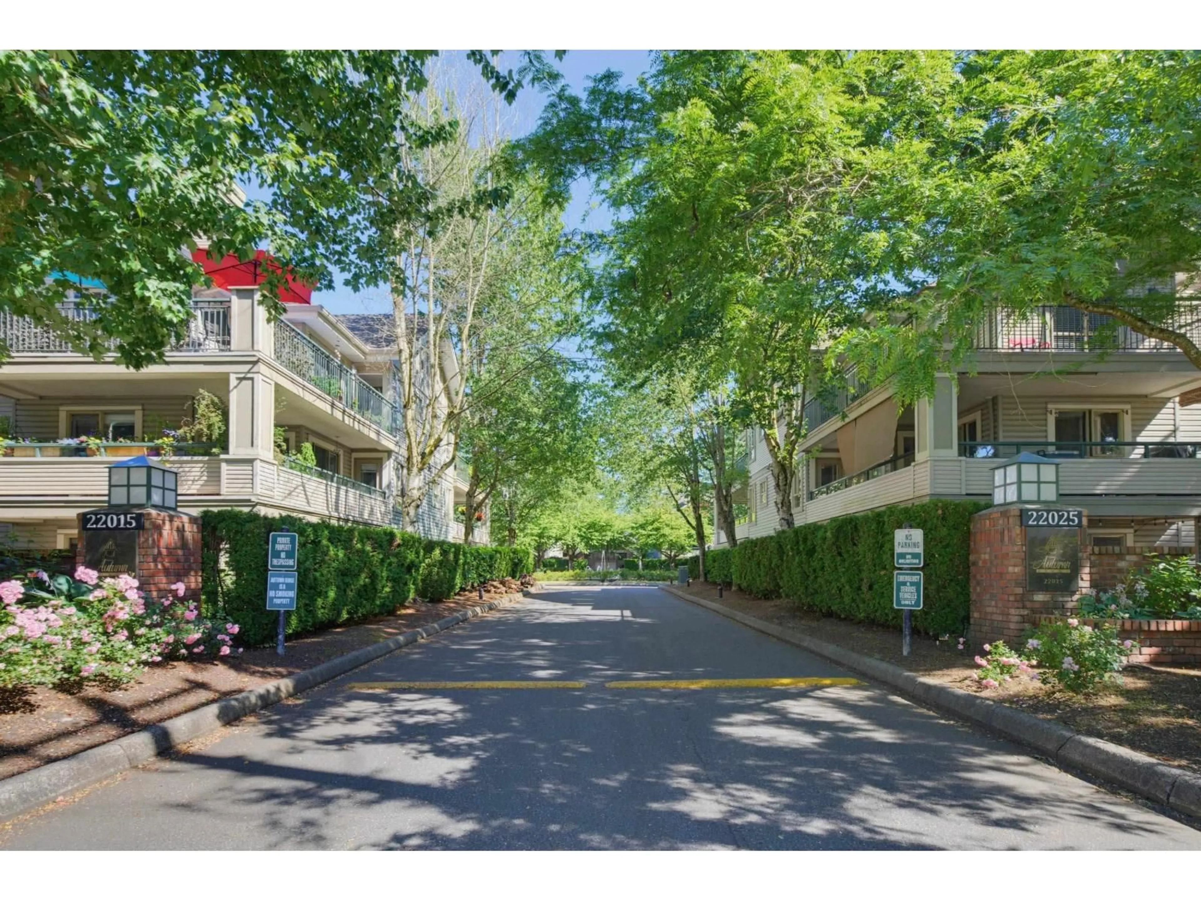 A pic from outside/outdoor area/front of a property/back of a property/a pic from drone, street for 313 - 22025 48 AVENUE, Langley British Columbia V3A8L2