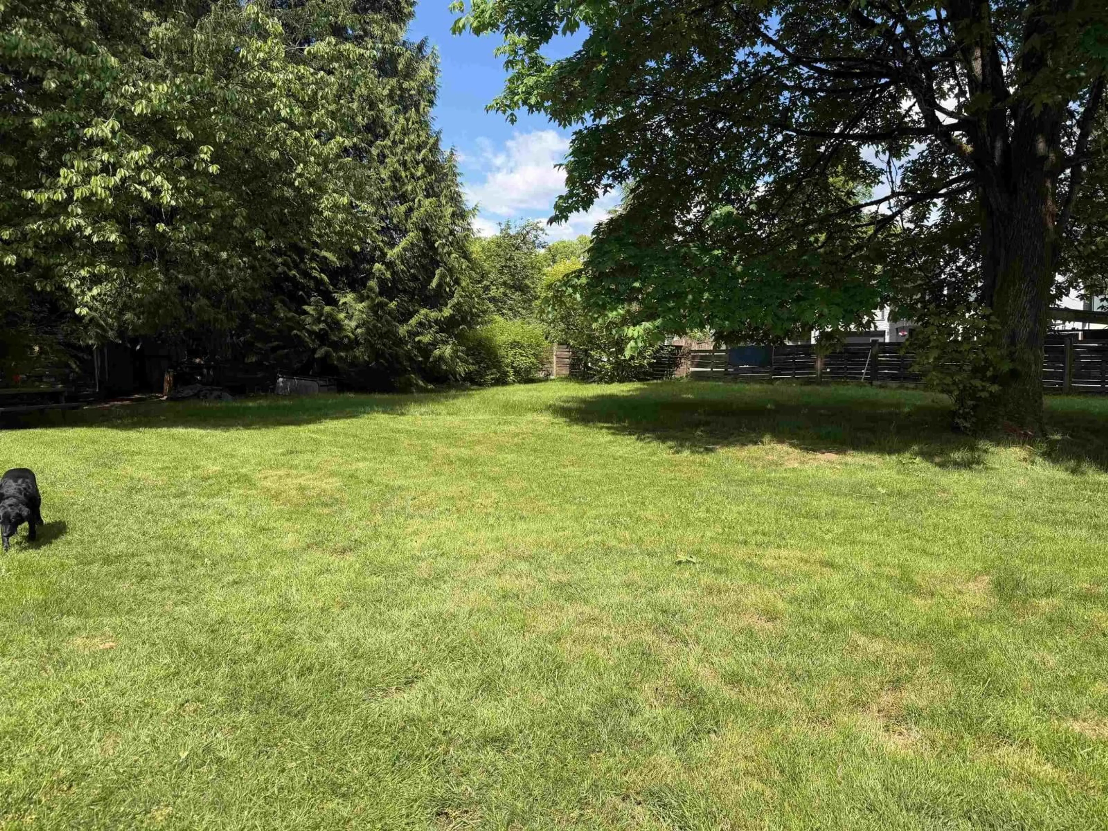 A pic from outside/outdoor area/front of a property/back of a property/a pic from drone, forest/trees view for 9385 125 STREET, Surrey British Columbia V3V4X5