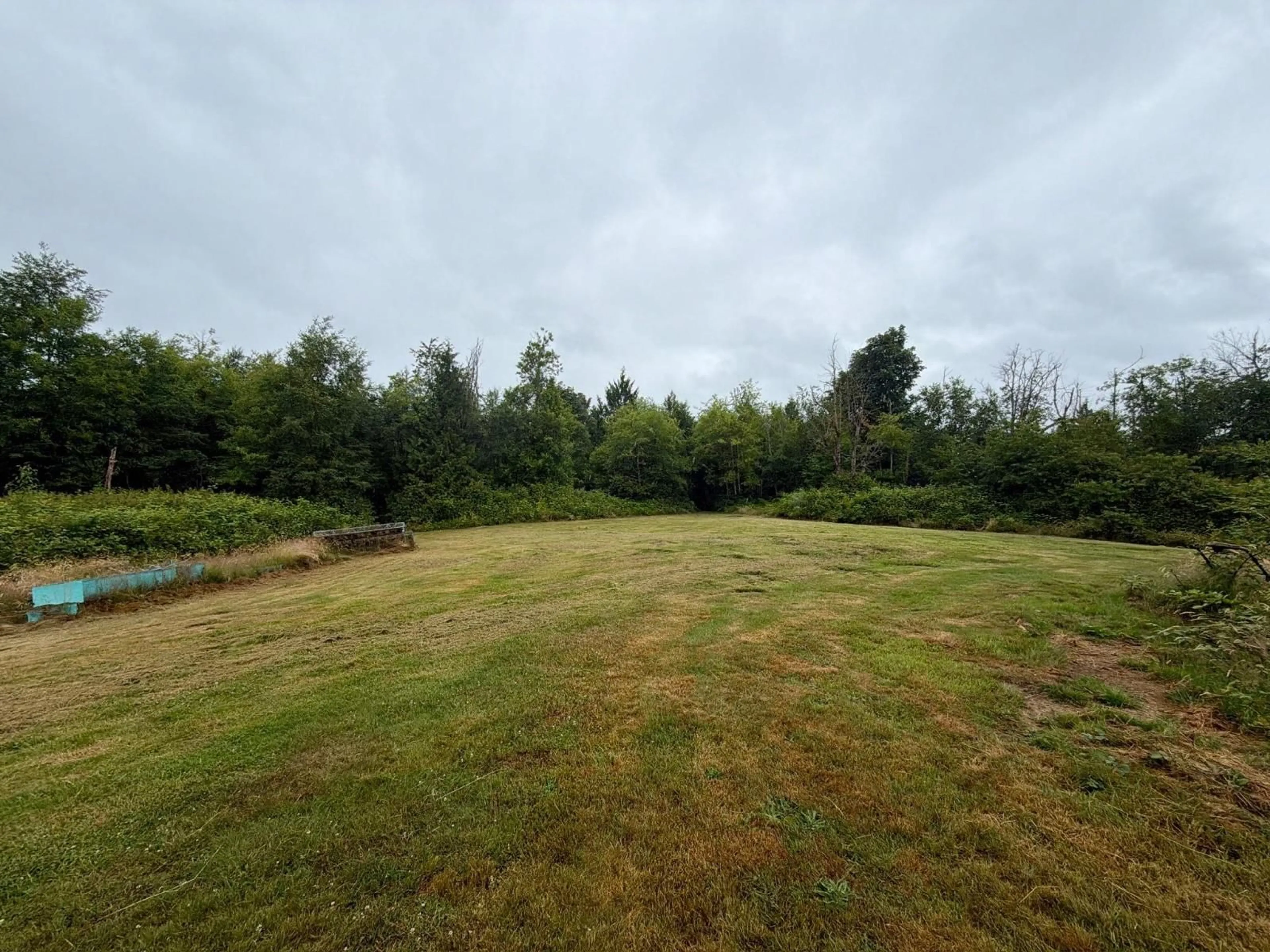 A pic from outside/outdoor area/front of a property/back of a property/a pic from drone, forest/trees view for 30117 HARRIS ROAD, Abbotsford British Columbia V4X1V6