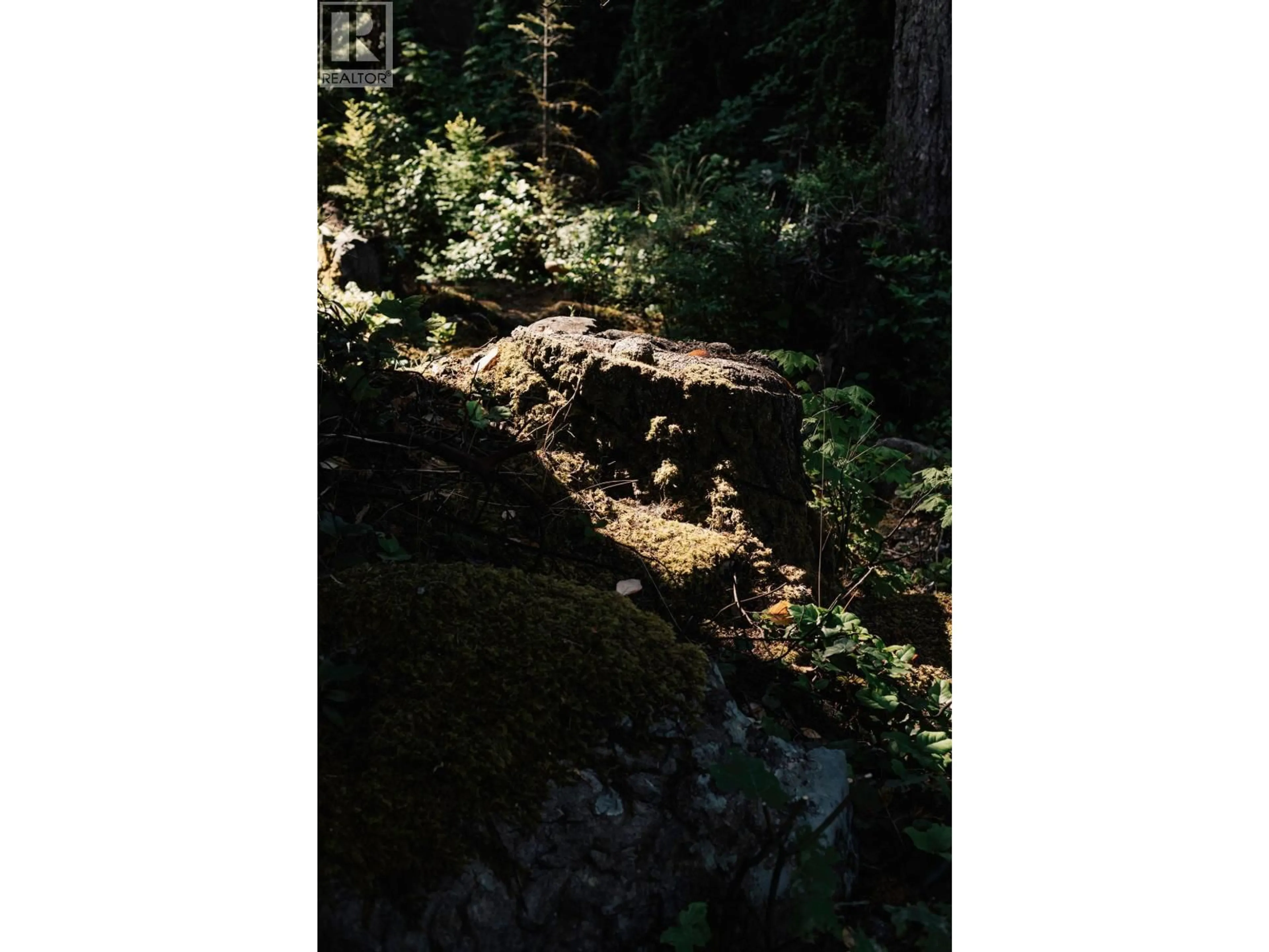 Blurry image for 8595 ANSELL PLACE, West Vancouver British Columbia V7W2W3