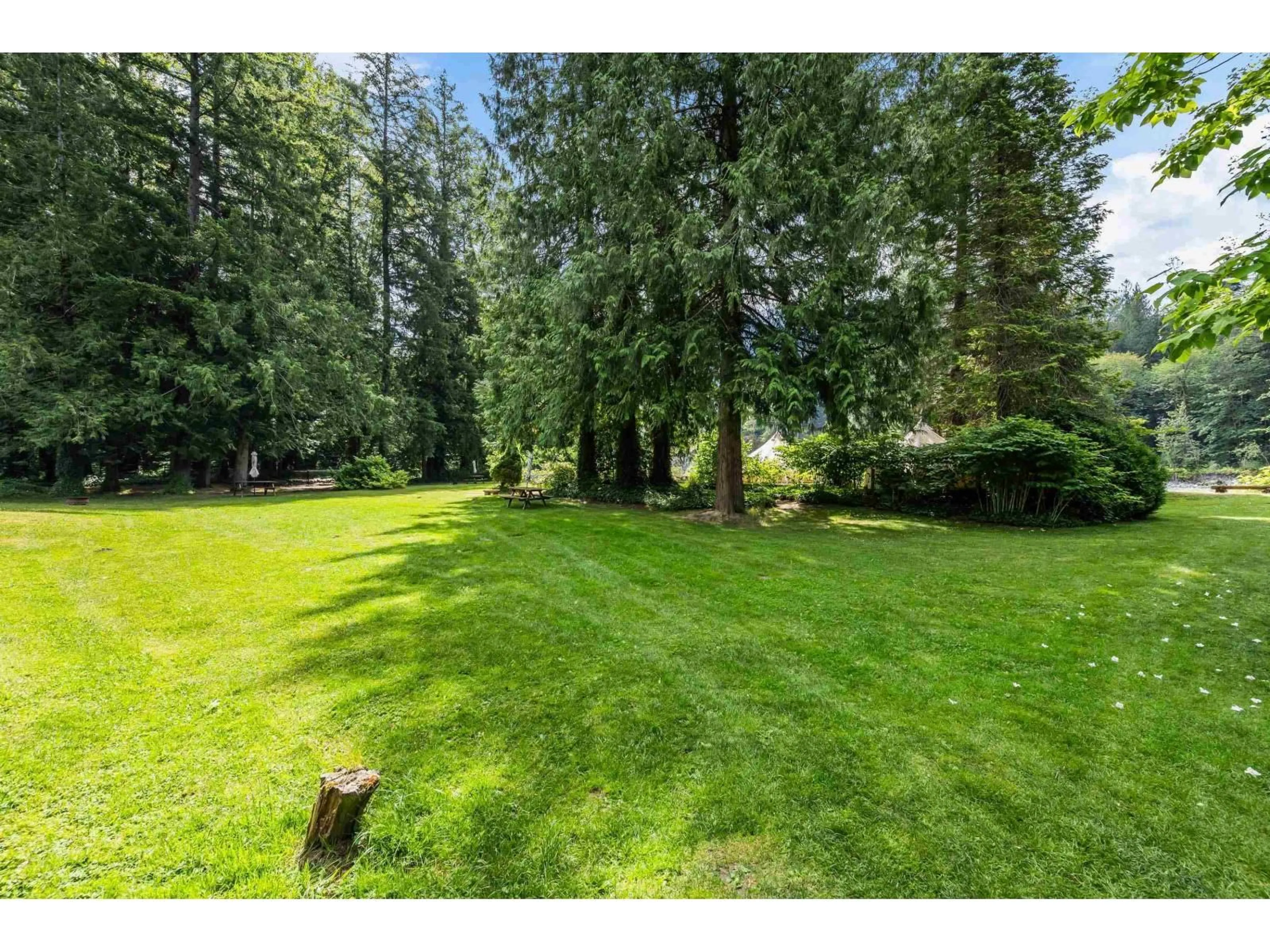A pic from outside/outdoor area/front of a property/back of a property/a pic from drone, forest/trees view for 50954 O'BYRNE ROAD, Chilliwack British Columbia V4Z1B6