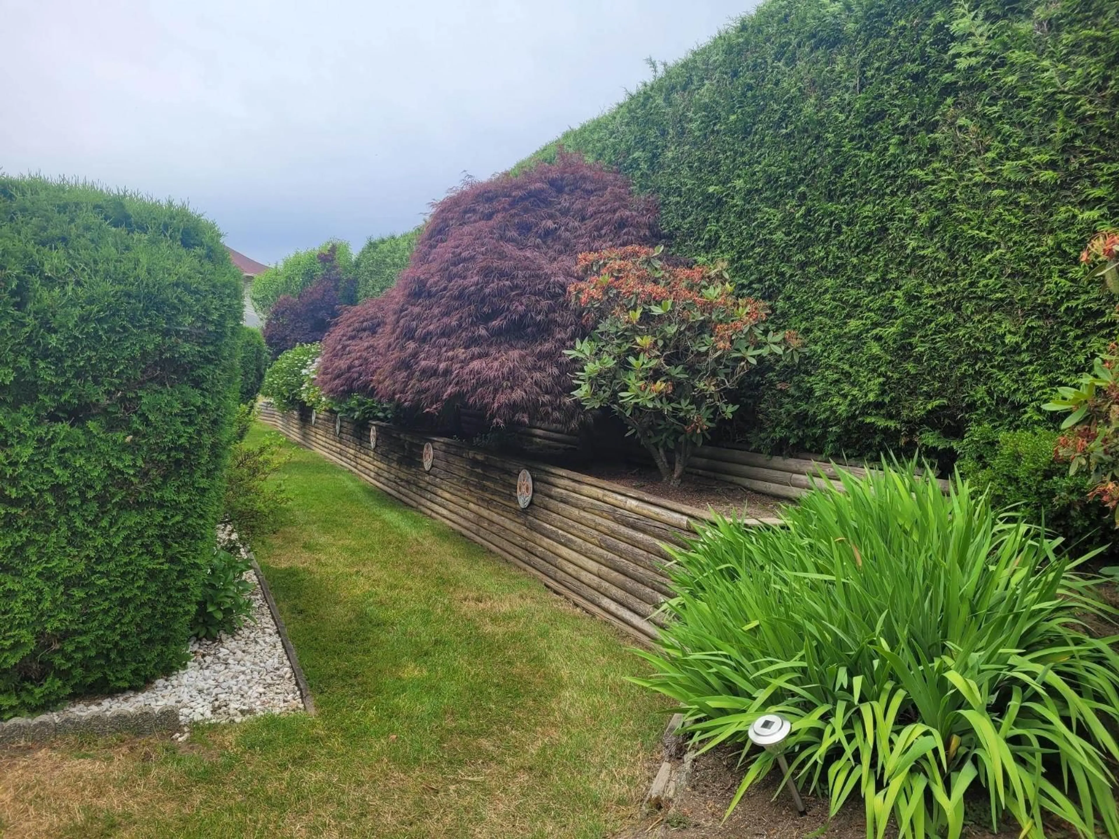 A pic from outside/outdoor area/front of a property/back of a property/a pic from drone, street for 38 - 31406 UPPER MACLURE ROAD, Abbotsford British Columbia V2T5L8