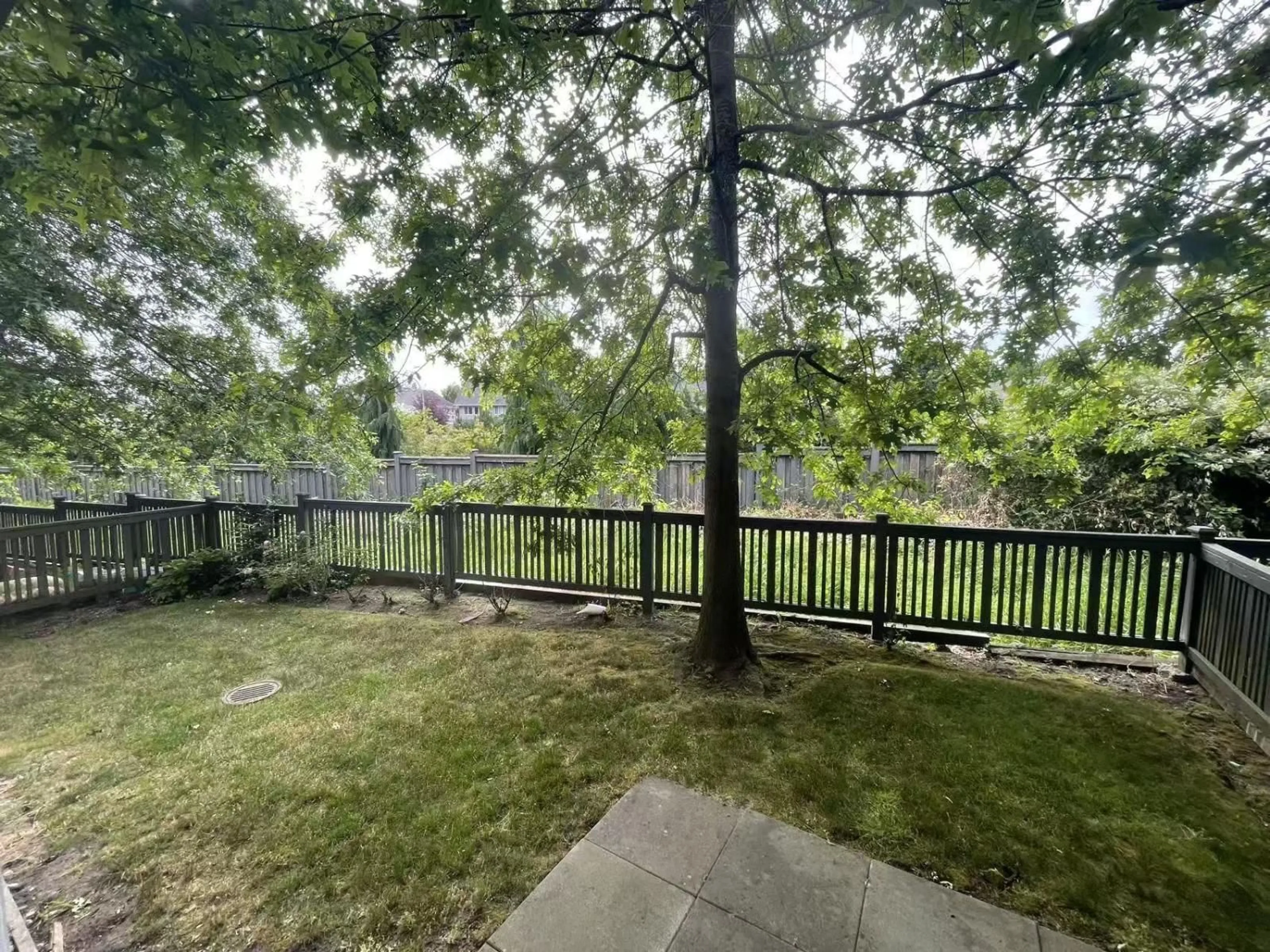 Patio, forest/trees view for 82 - 10489 DELSOM CRESCENT, Delta British Columbia V4C0B9