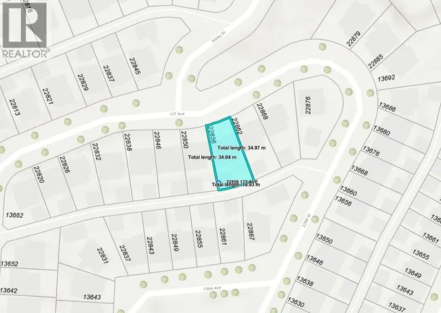 22856 137 AVENUE, Maple Ridge 3