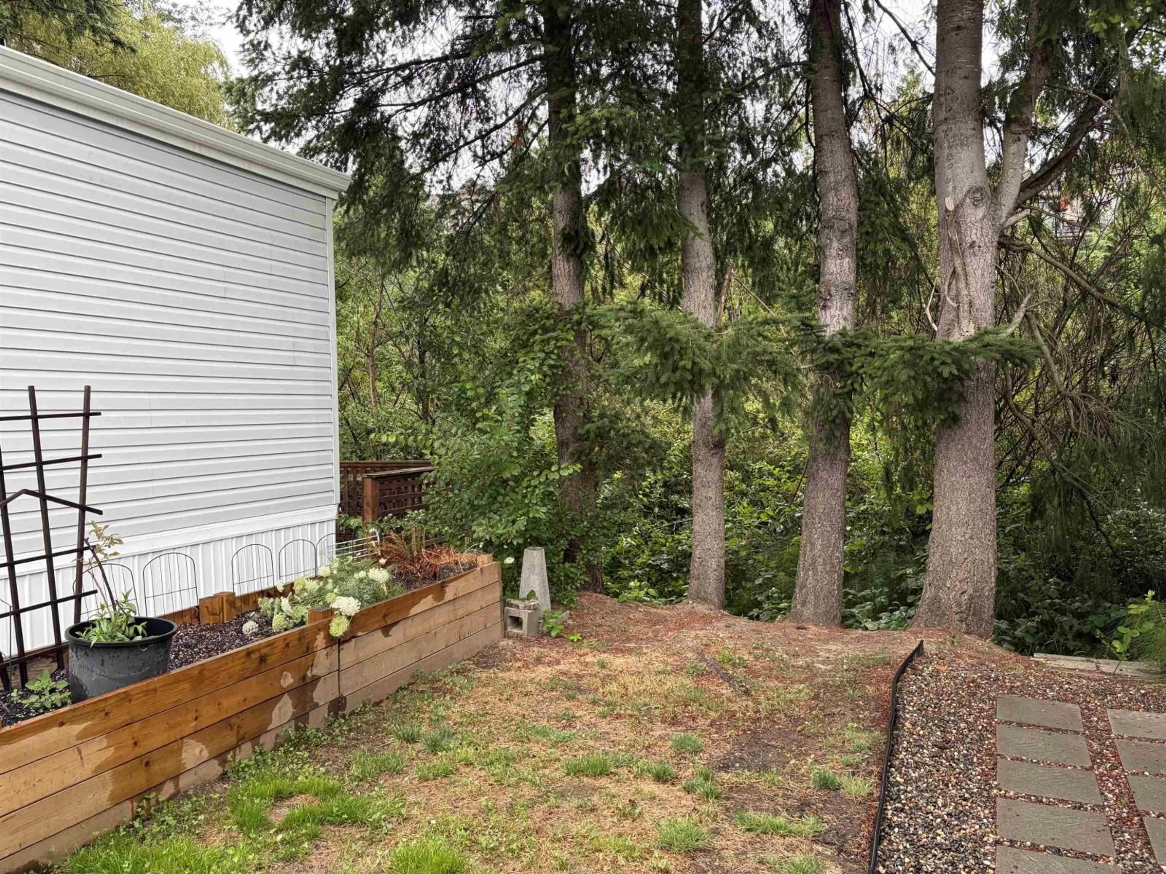 A pic from outside/outdoor area/front of a property/back of a property/a pic from drone, forest/trees view for 57 - 3300 HORN STREET, Abbotsford British Columbia V2S7Y5