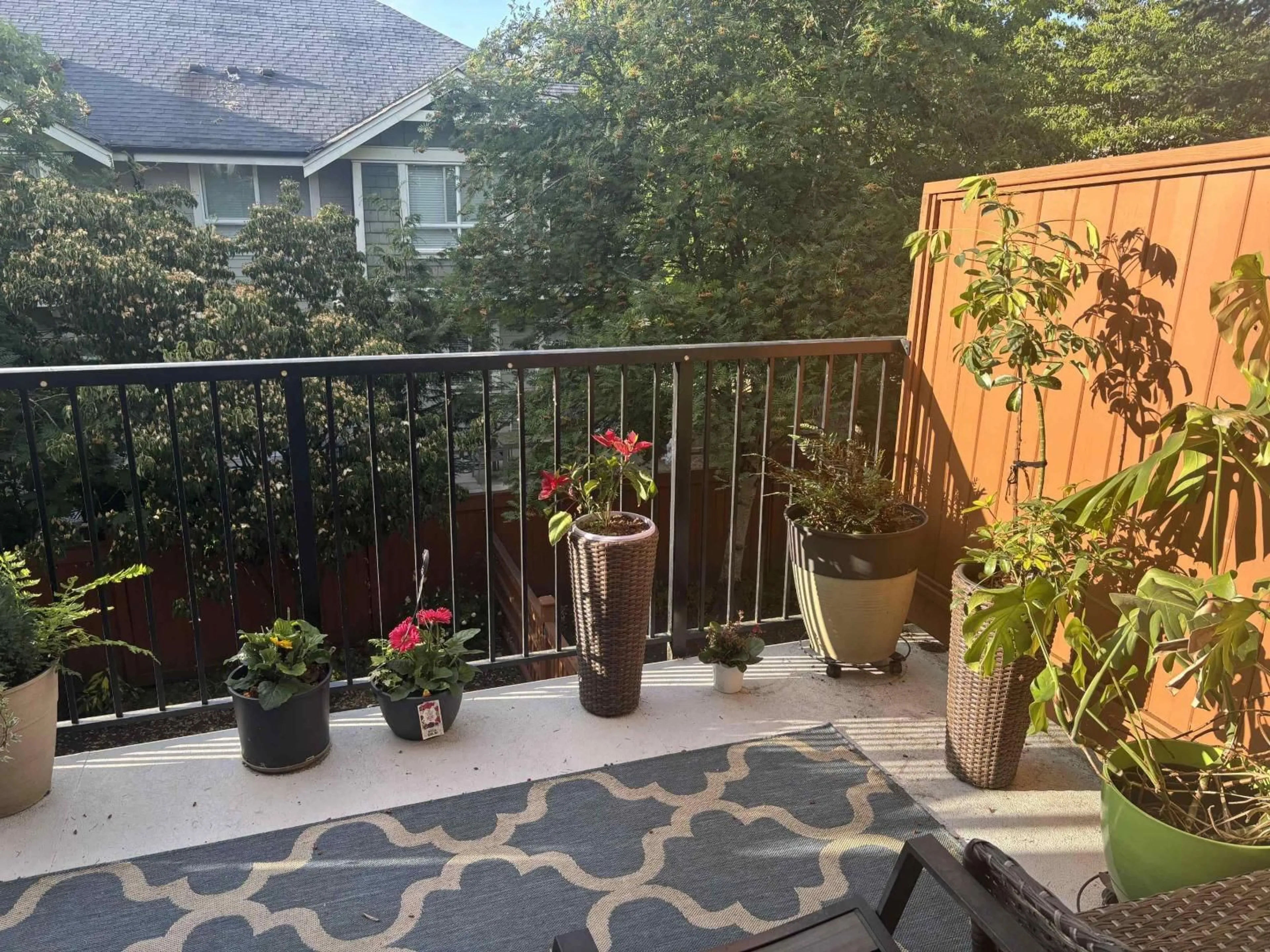 Patio, mountain view for 43 - 2929 156 STREET, Surrey British Columbia V3Z0S9