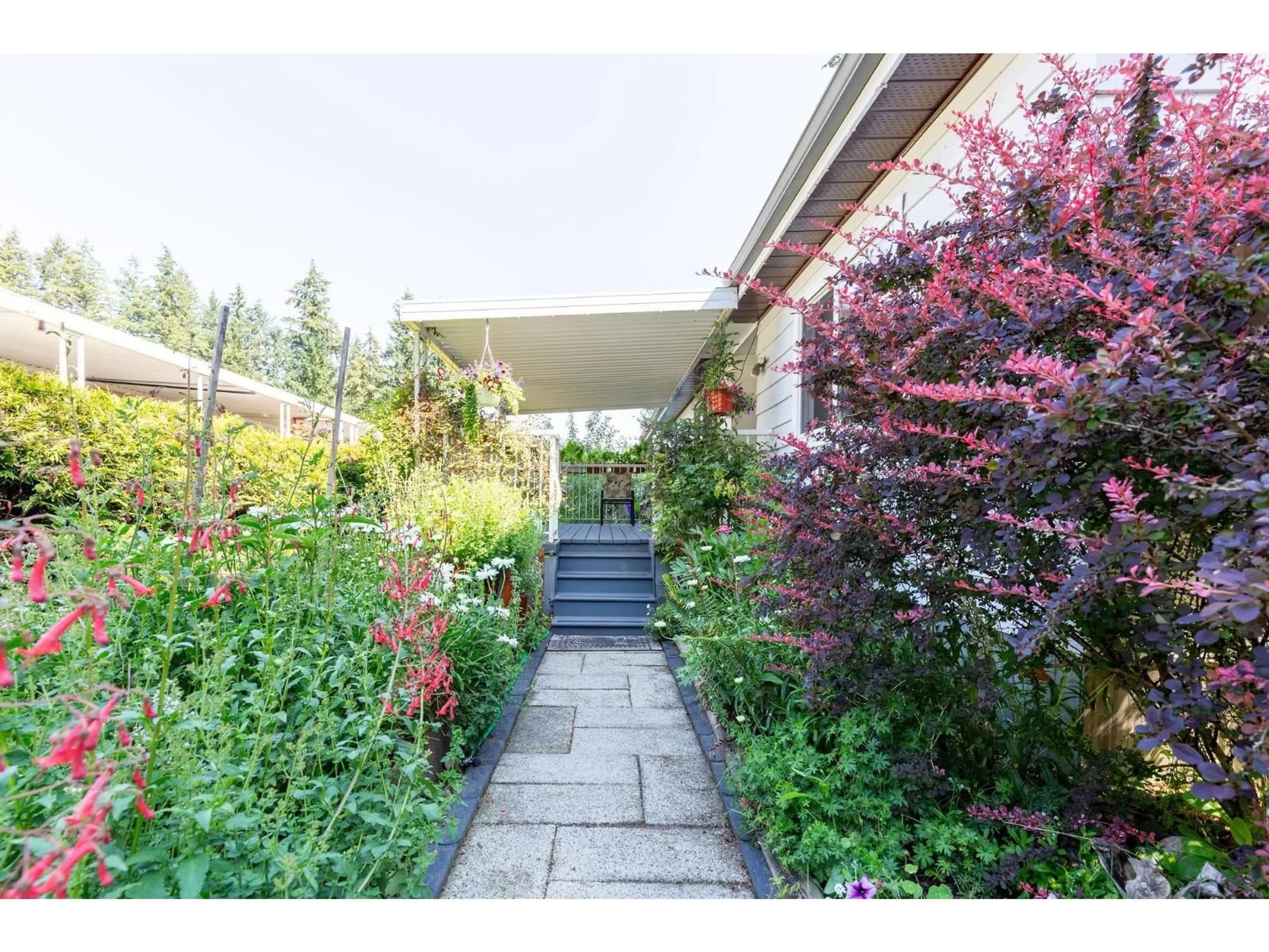 Patio, street for 204 - 20071 24 AVENUE, Langley British Columbia V2Z2A1
