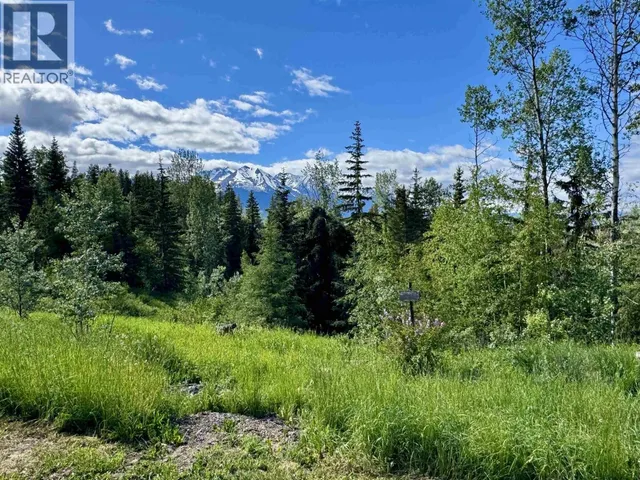 1220 LOWLAND ROAD, Smithers 5