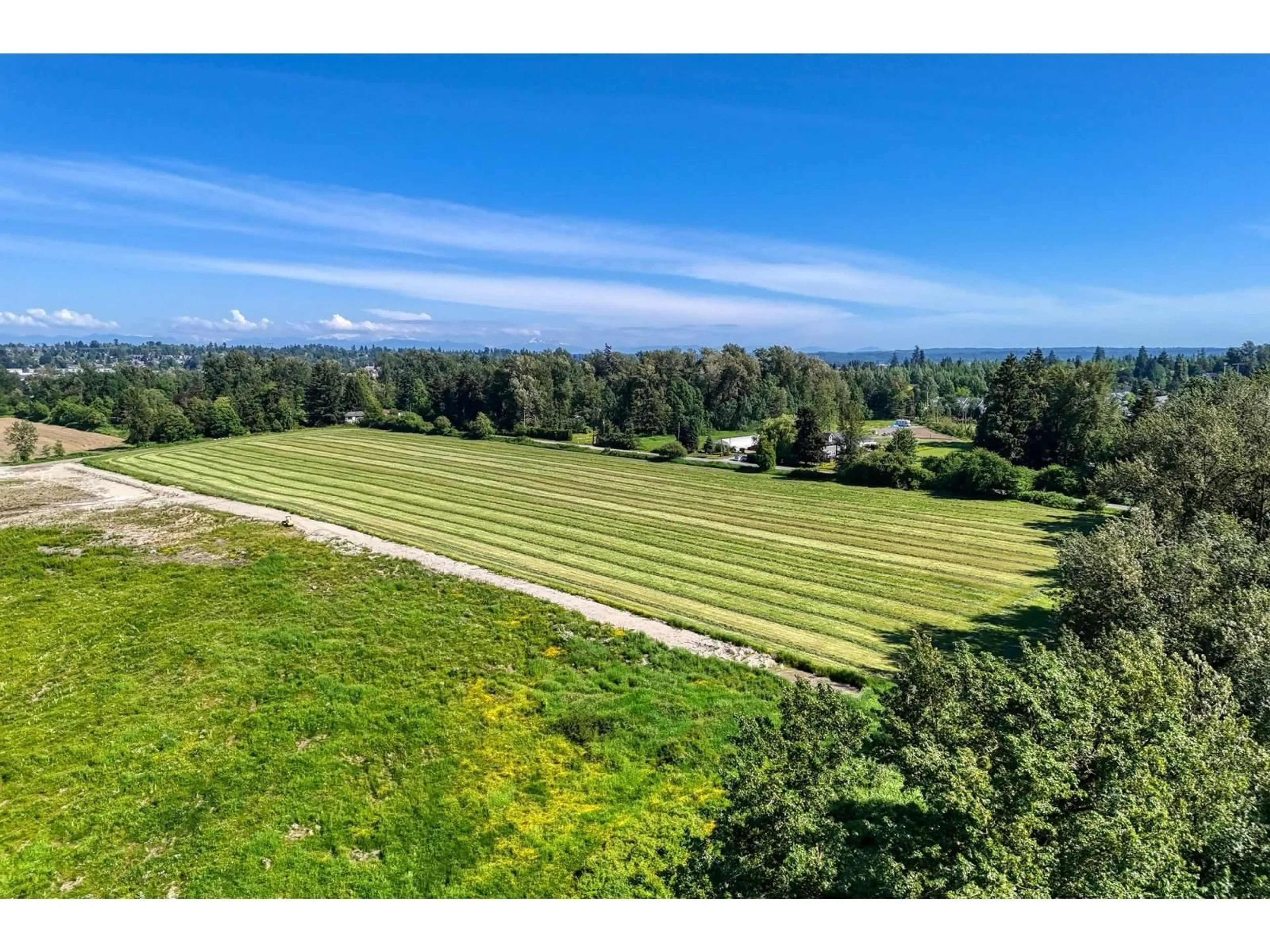 A pic from outside/outdoor area/front of a property/back of a property/a pic from drone, forest/trees view for 16913 66 AVENUE, Surrey British Columbia V3S5M1