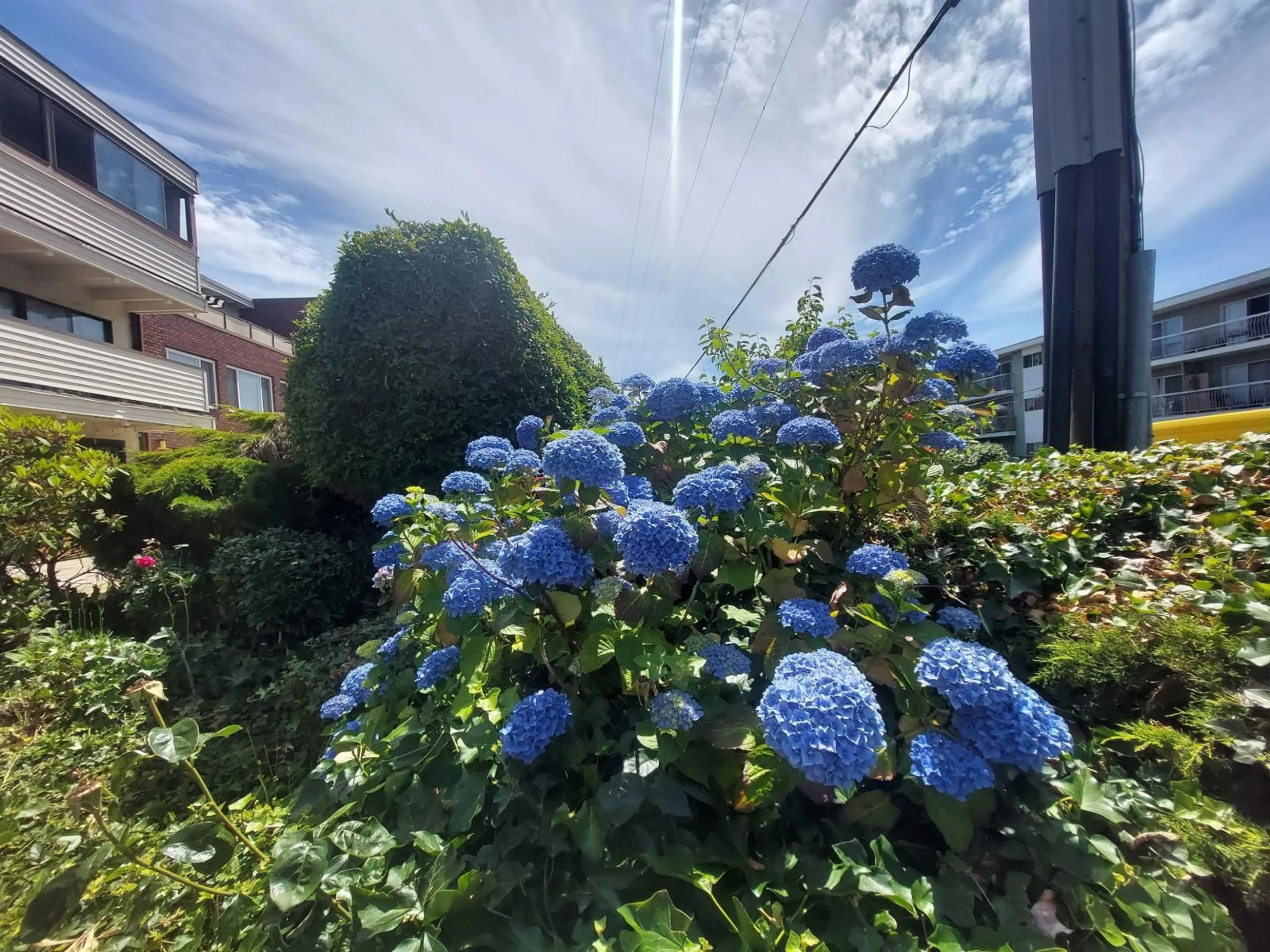 A pic from outside/outdoor area/front of a property/back of a property/a pic from drone, street for 205 - 1448 FIR STREET, White Rock British Columbia V4B4B4