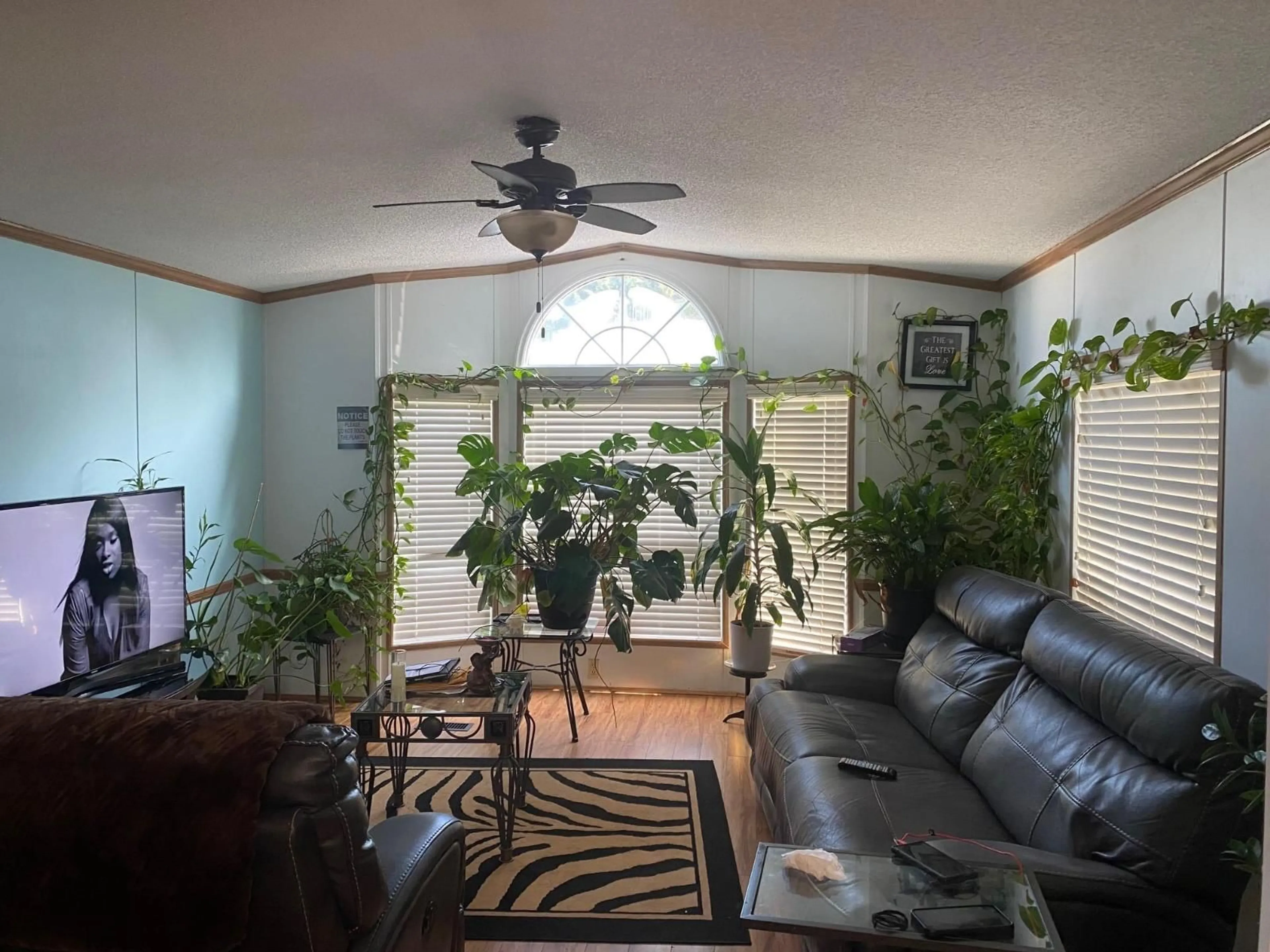 Living room with furniture, unknown for 77 - 8254 154 STREET, Surrey British Columbia V3W6M2
