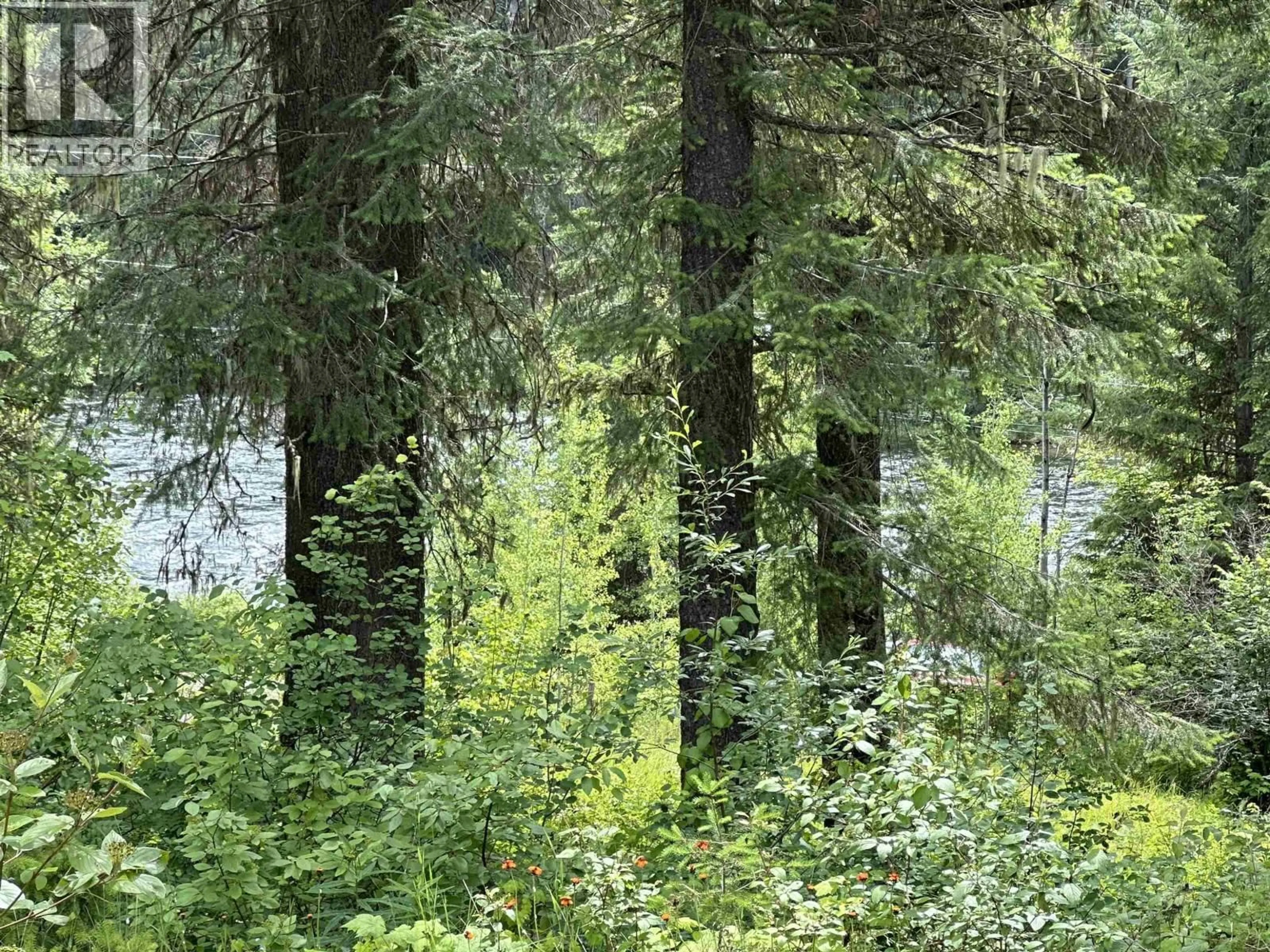 Blurry image for 4747 QUESNEL FORKS ROAD, Likely British Columbia V0L1N0