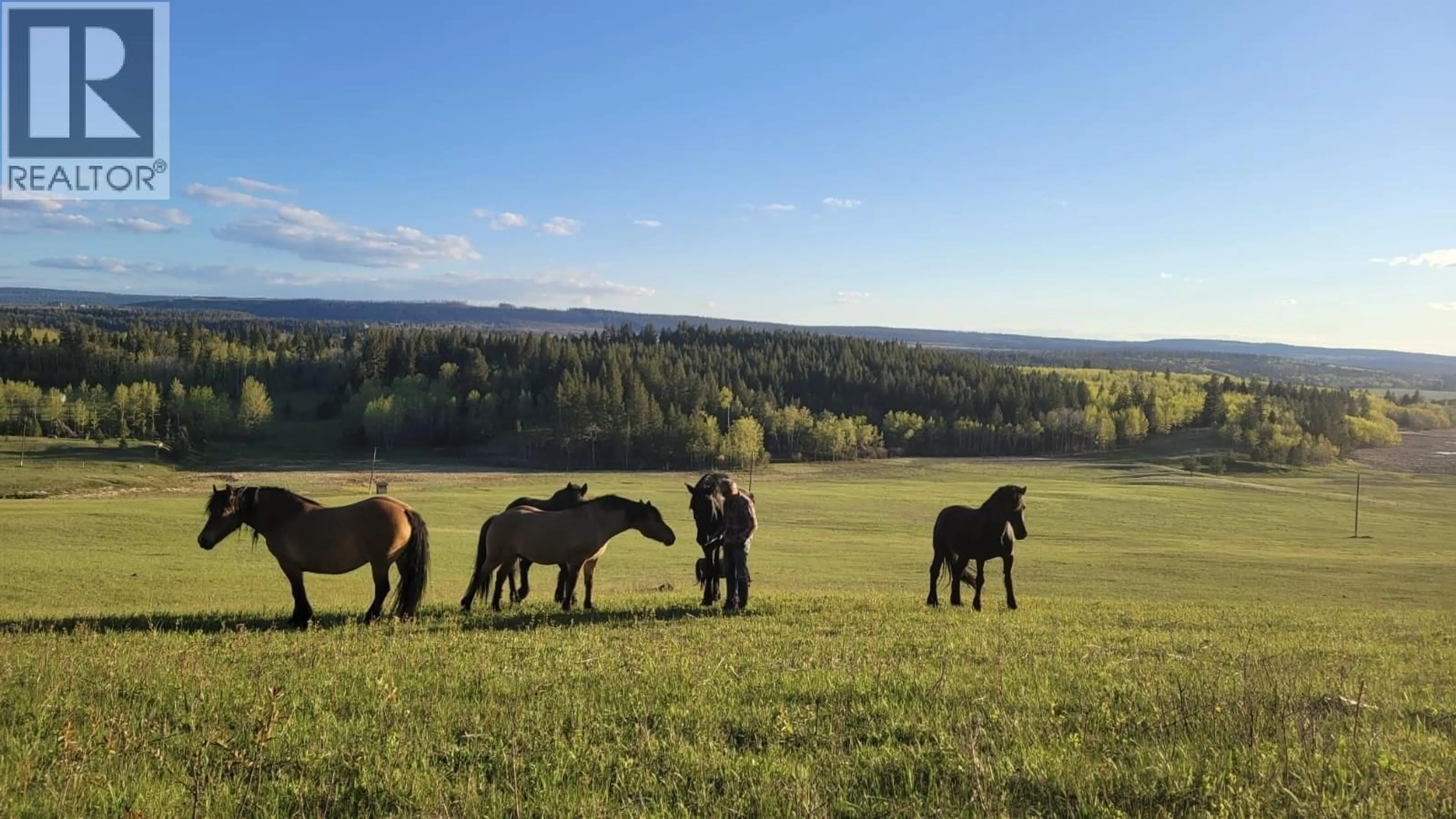 A pic from outside/outdoor area/front of a property/back of a property/a pic from drone, mountain view for 5249 DAWSON ROAD, 103 Mile House British Columbia V0K2E1